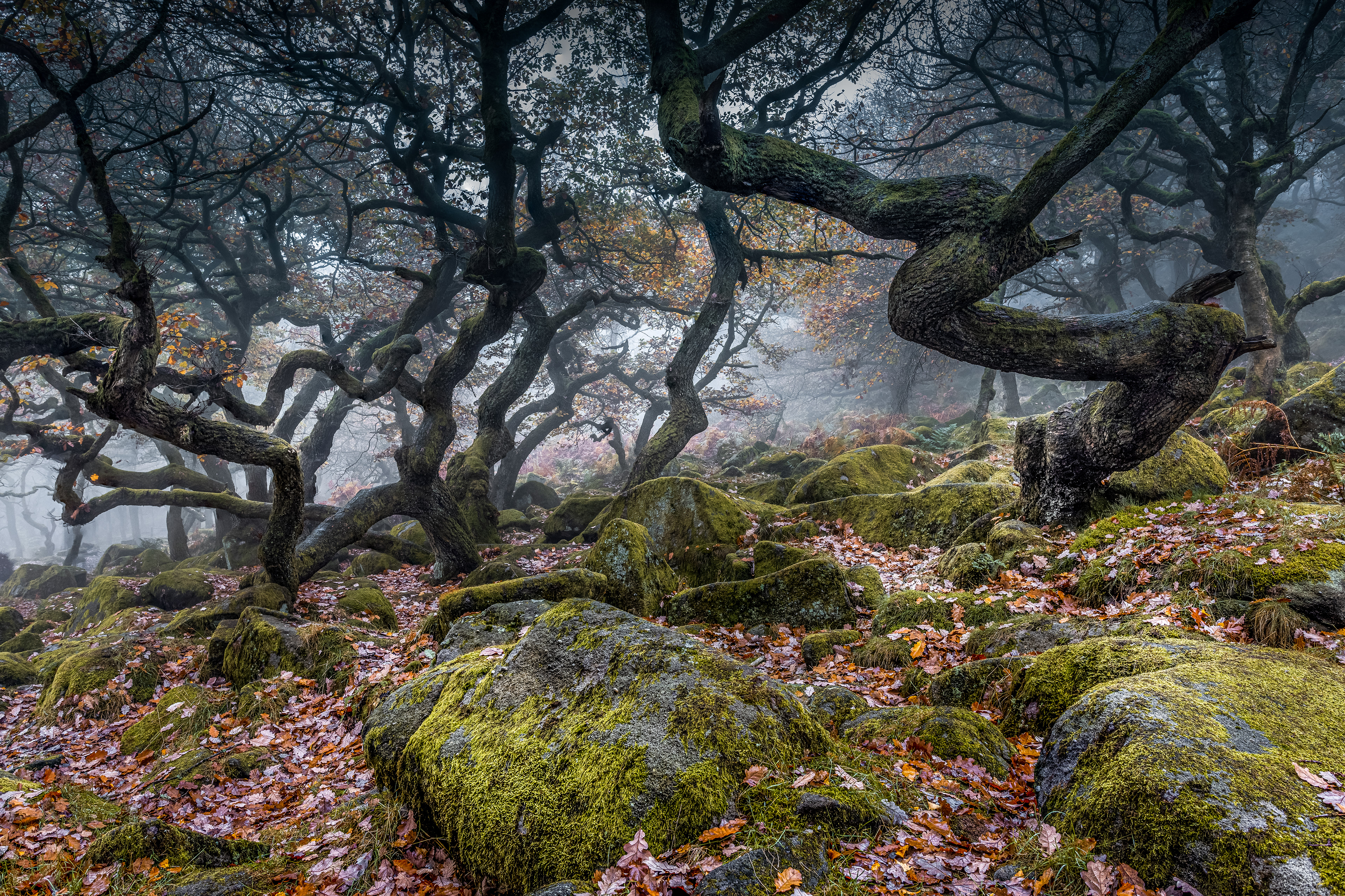 The Oaks, Peak District