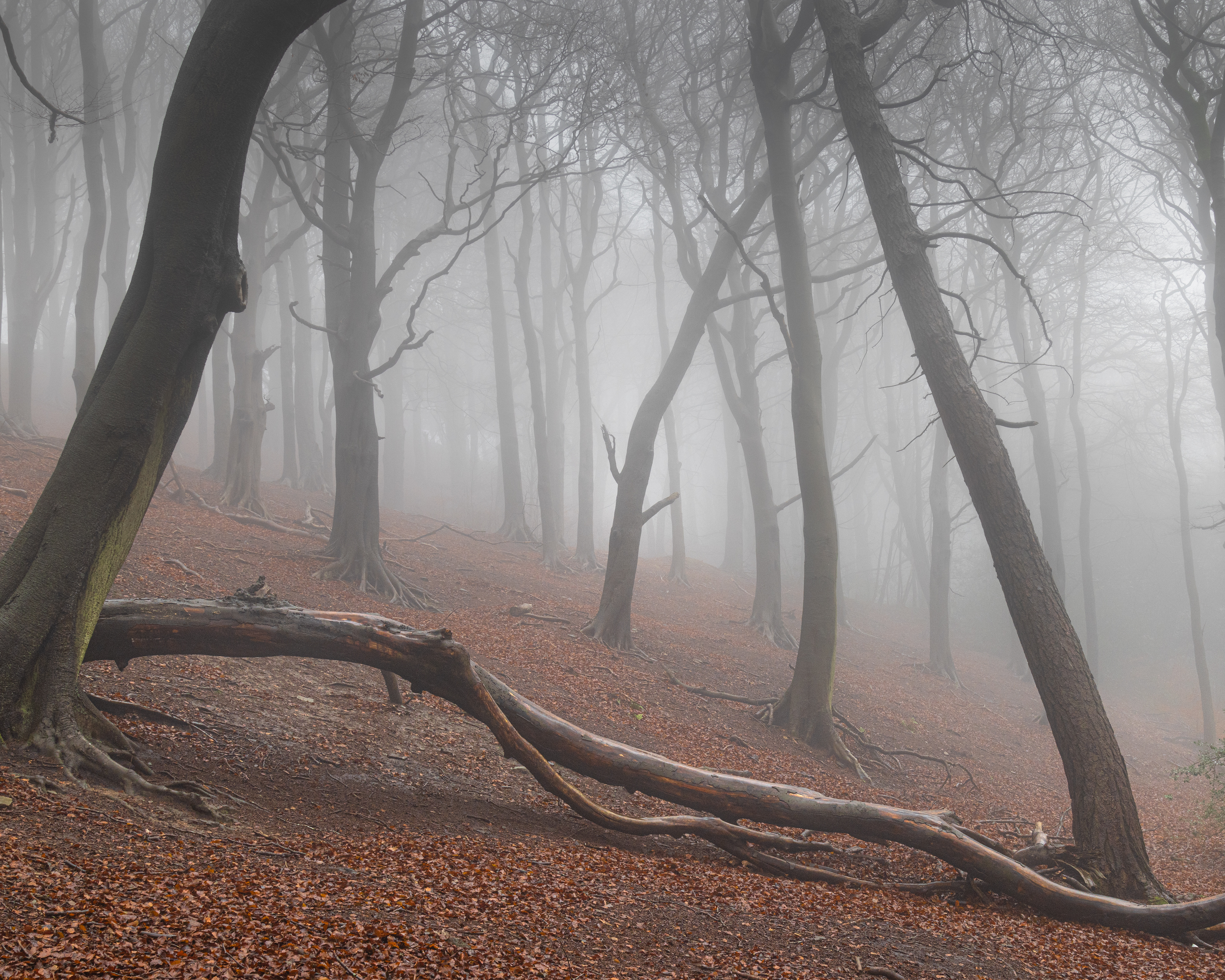 Limb Valley, Sheffield