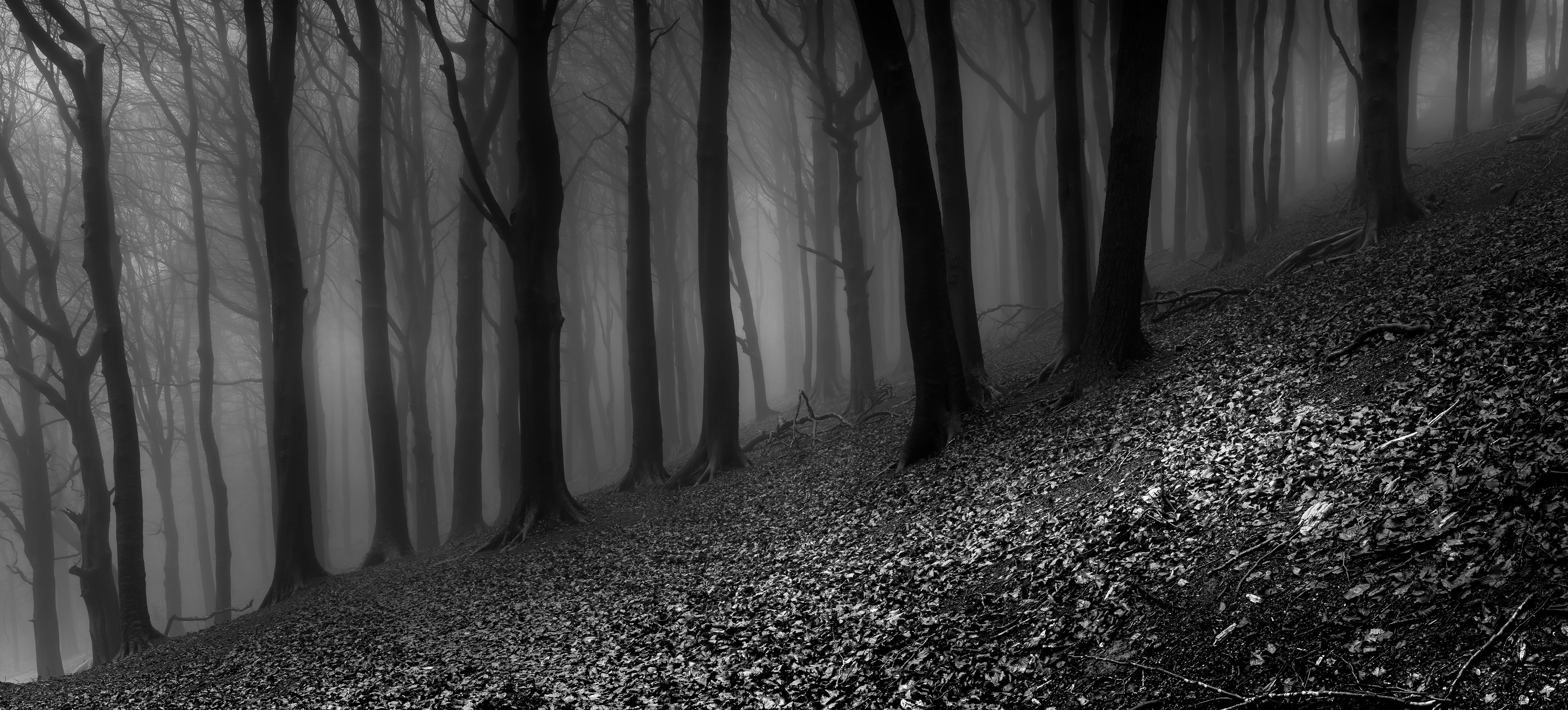 Limb Valley, Sheffield