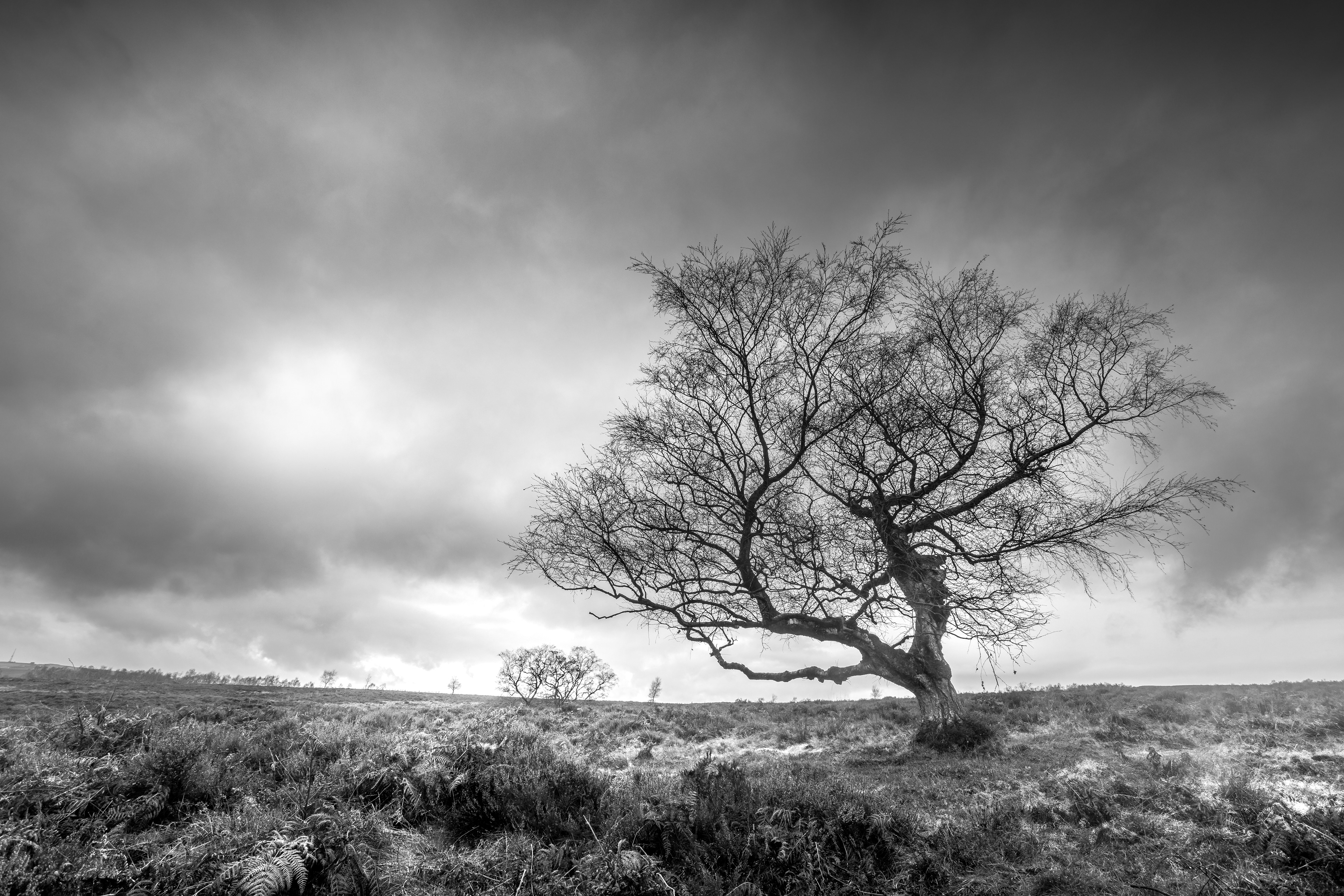 Lawrencefield, Peak District