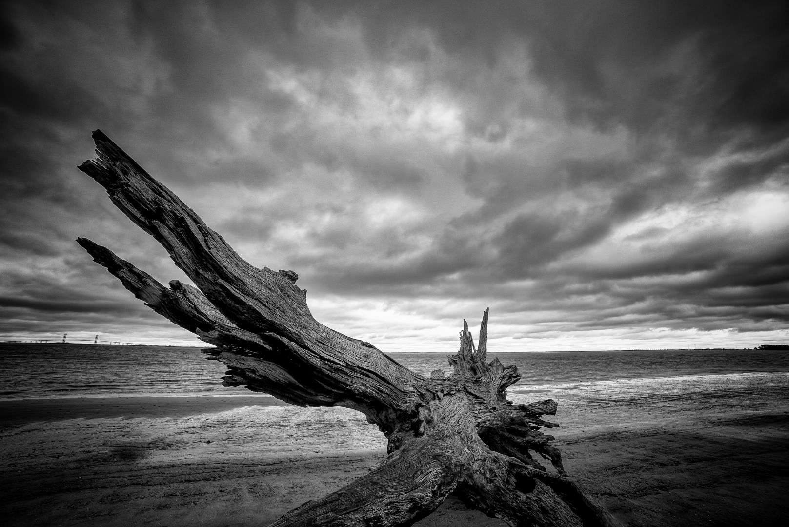 Chris Hardy - Jekyll Island