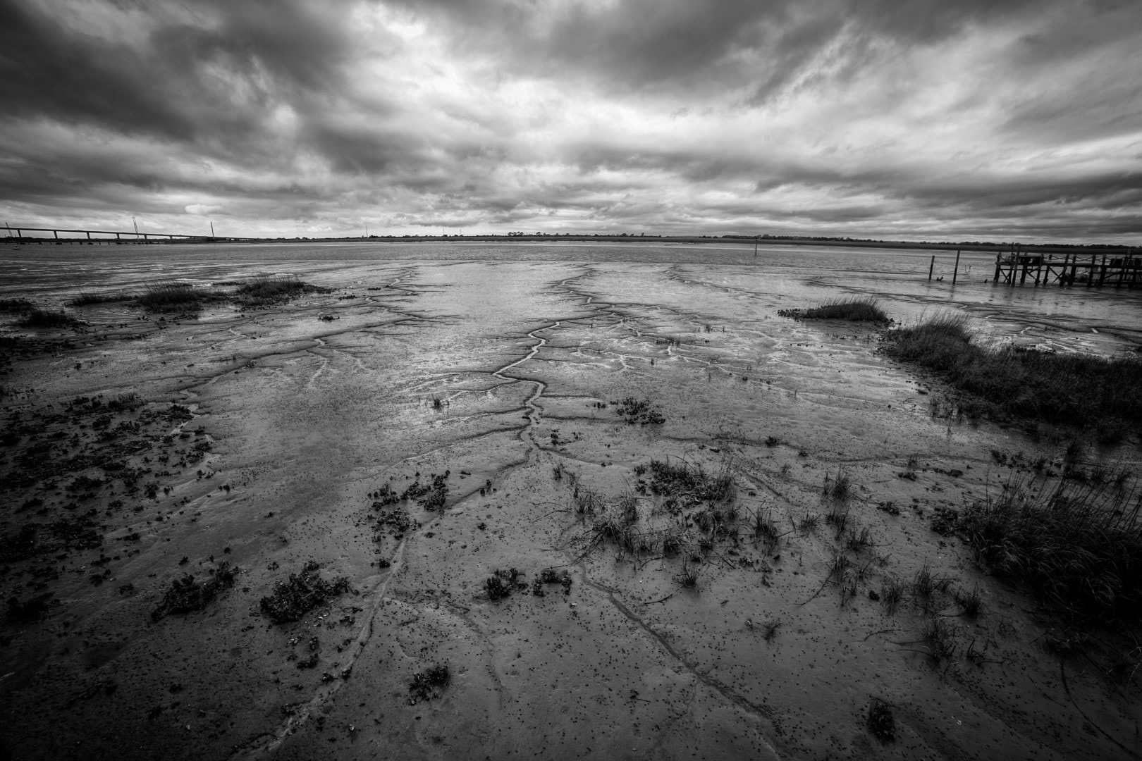 Chris Hardy - Jekyll Island