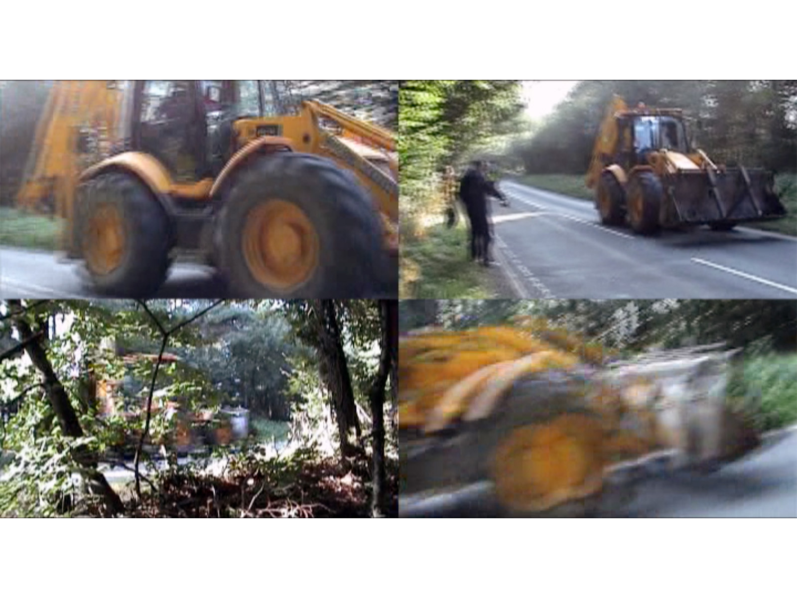 '4 Screens #4: Possible Forests'