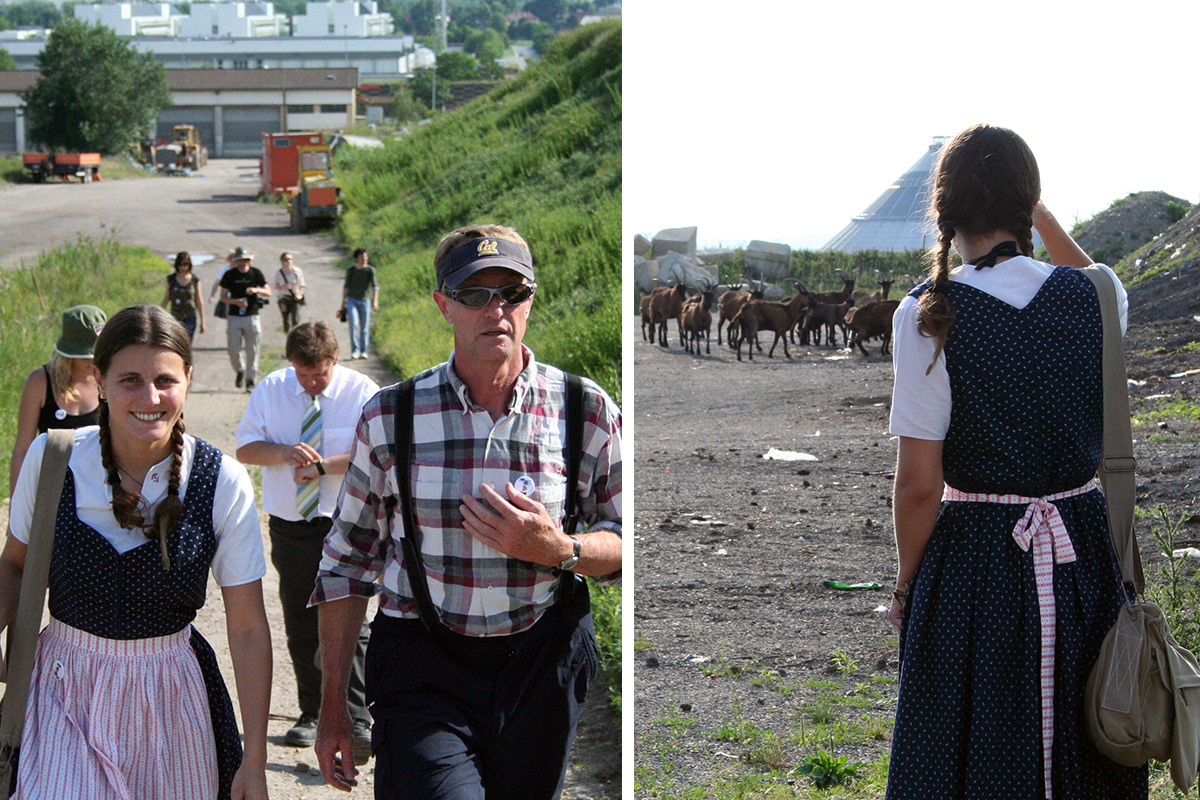 'Suburb Safari, or: Who Can Find the Mountain Goat?'