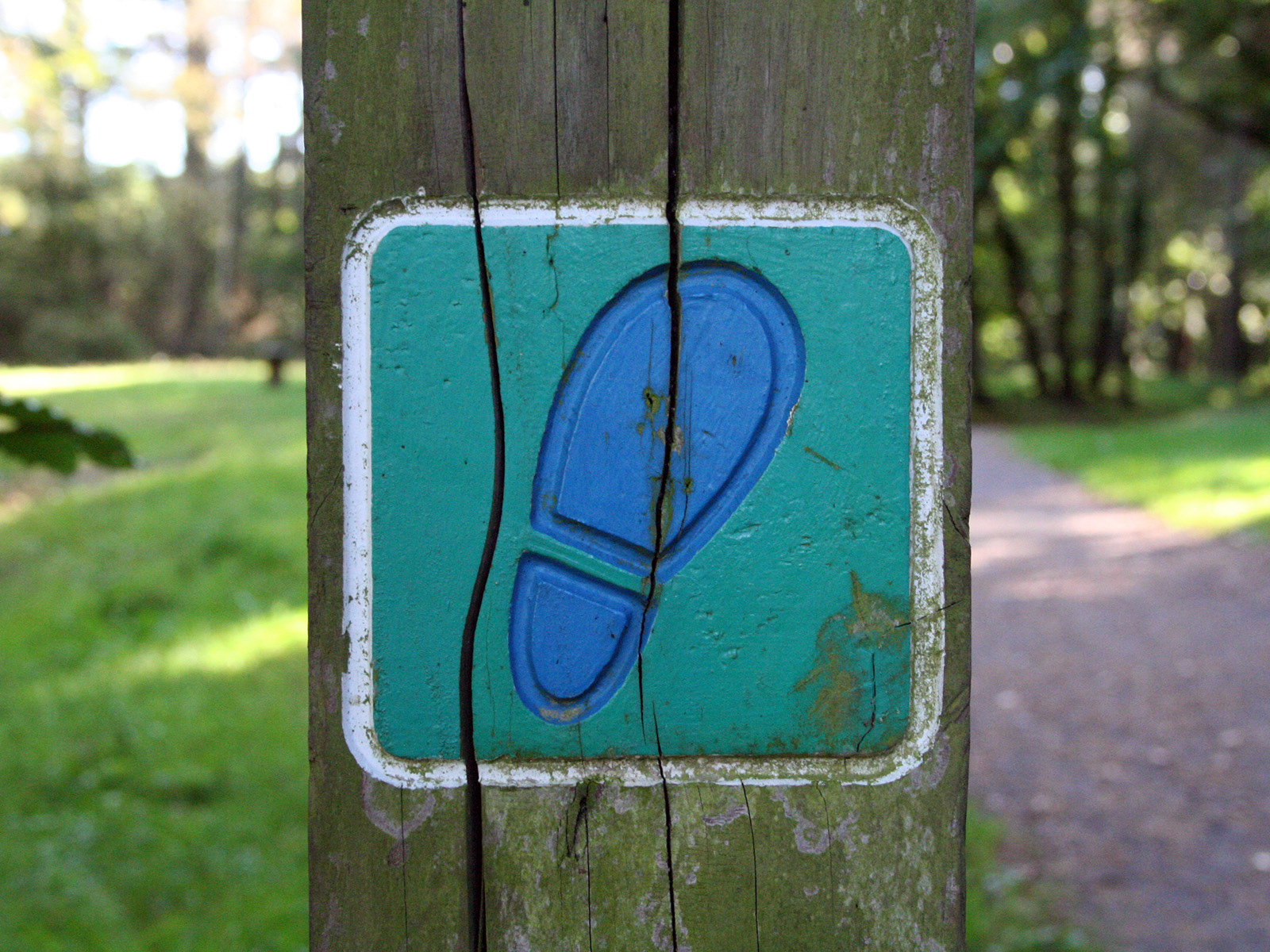 An official forest trail