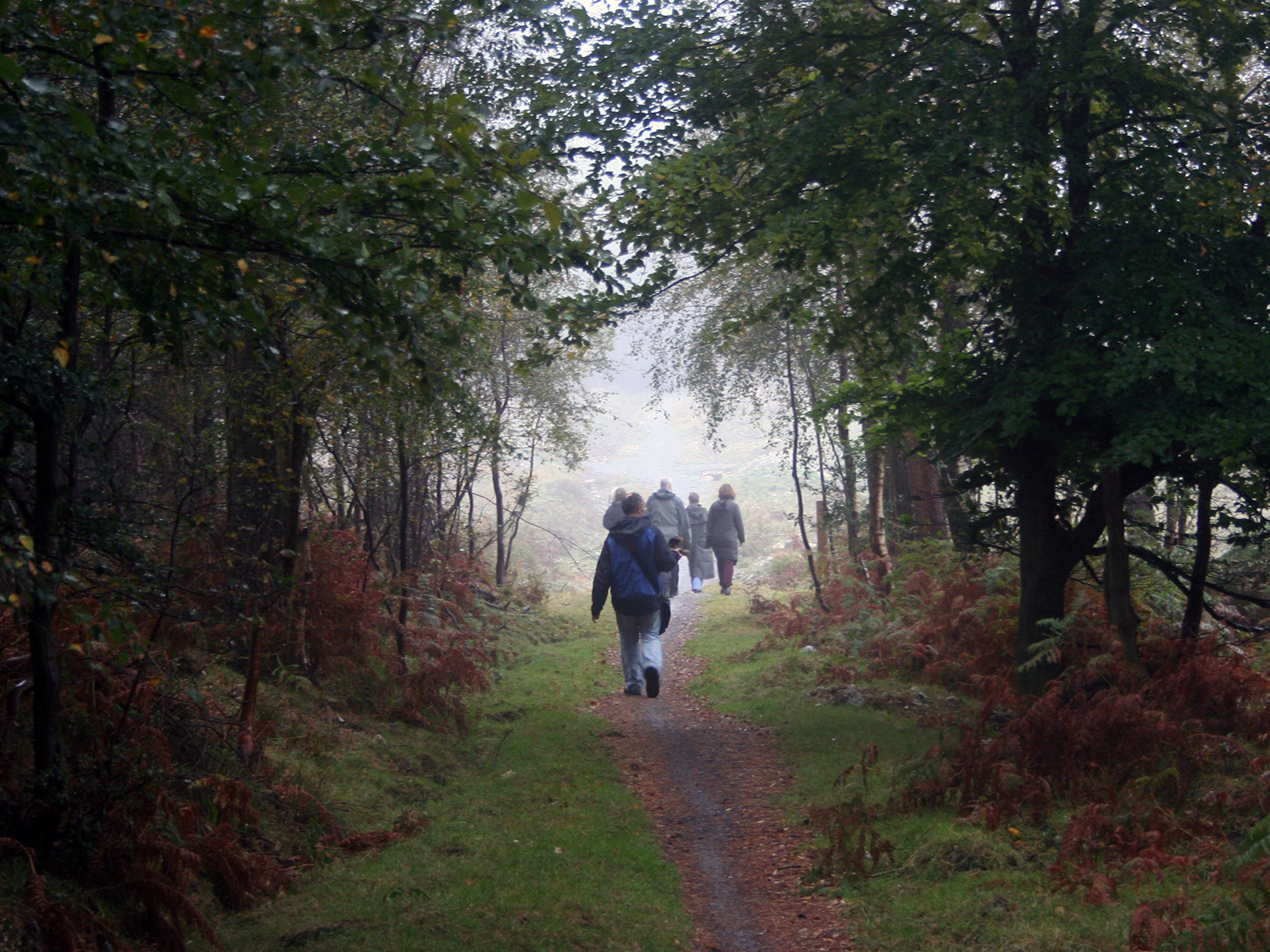 'Possible Forests' symposium