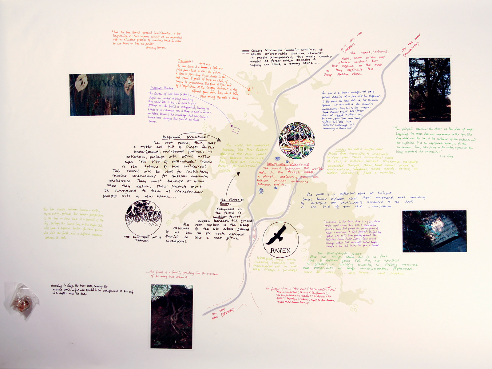 Possible Forest (Cathy + Malcolm Learmonth)