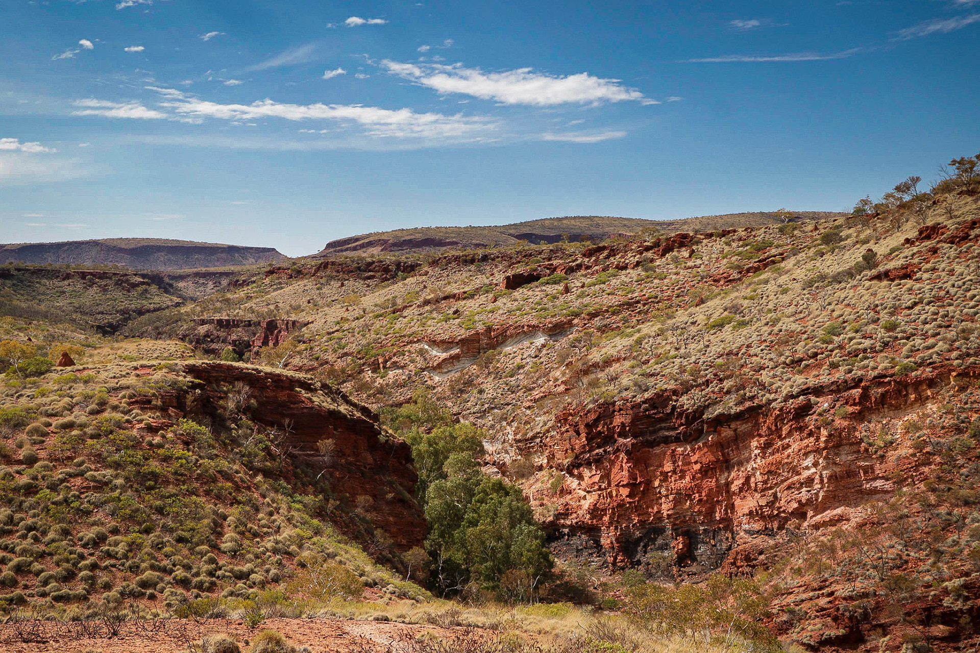Hamersley Gorge, Karijini NP