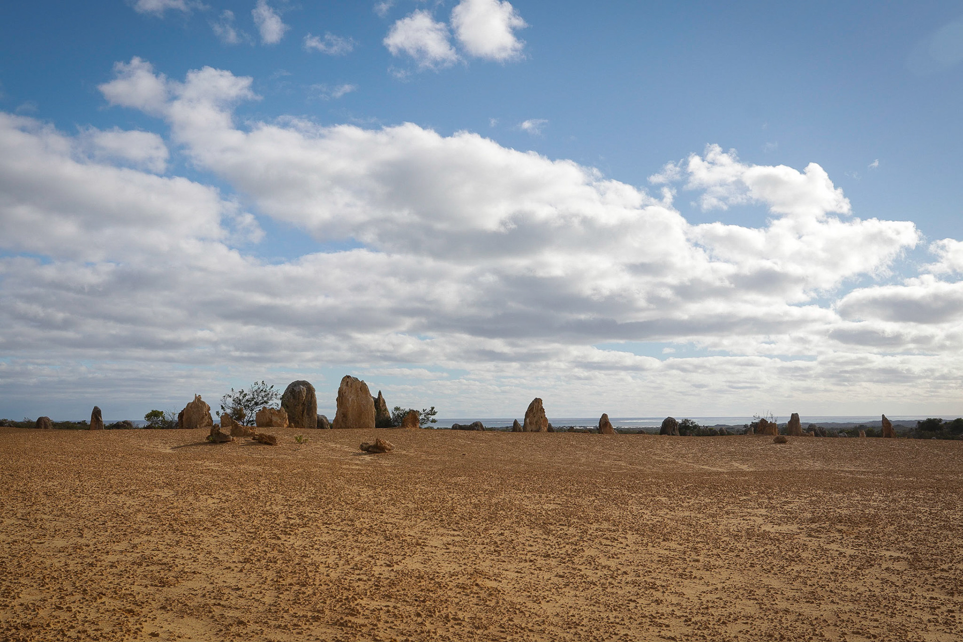 Pinnacles (Nambung NP)