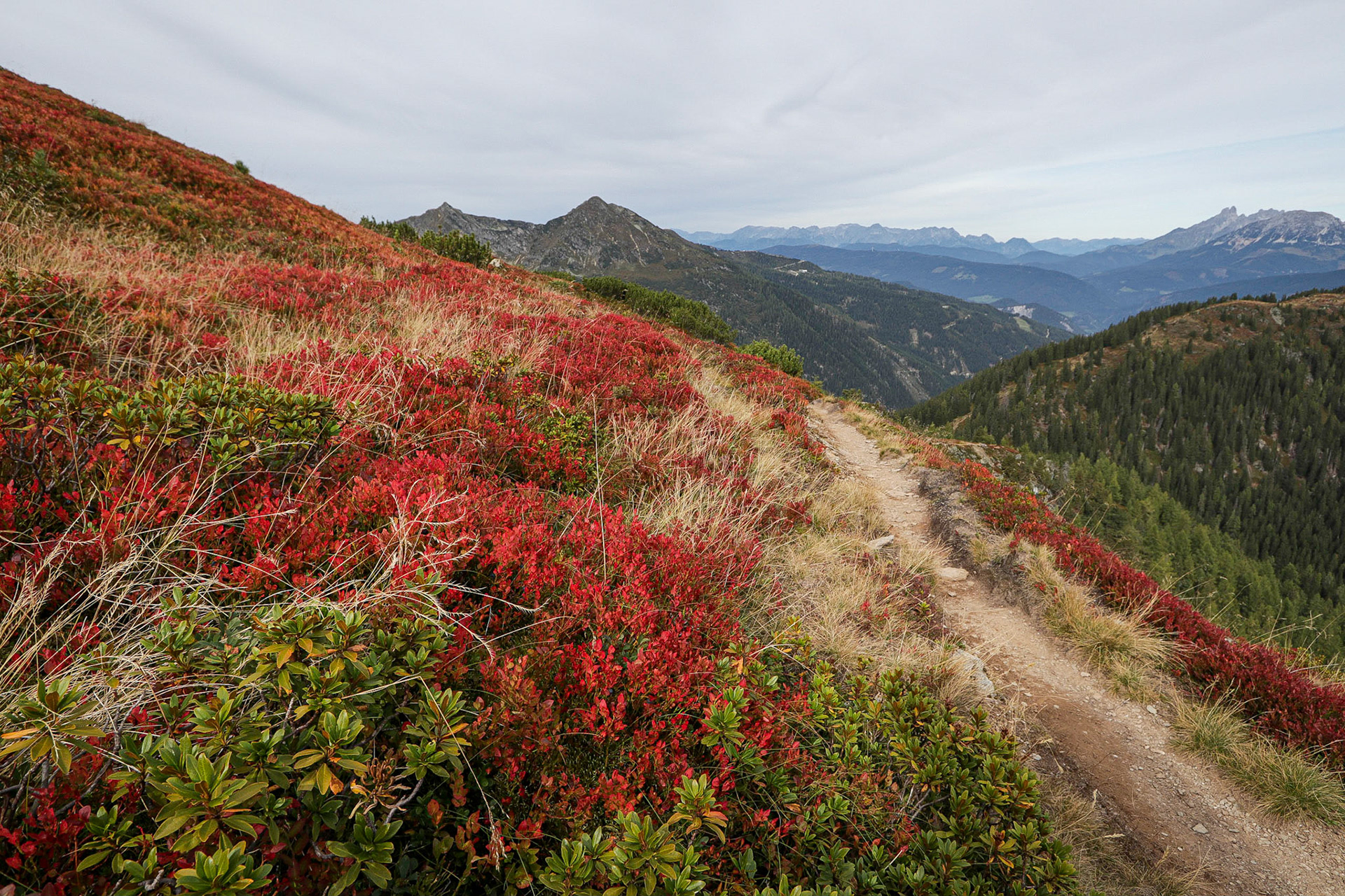 On the way to Ignaz-Mattis-Hütte