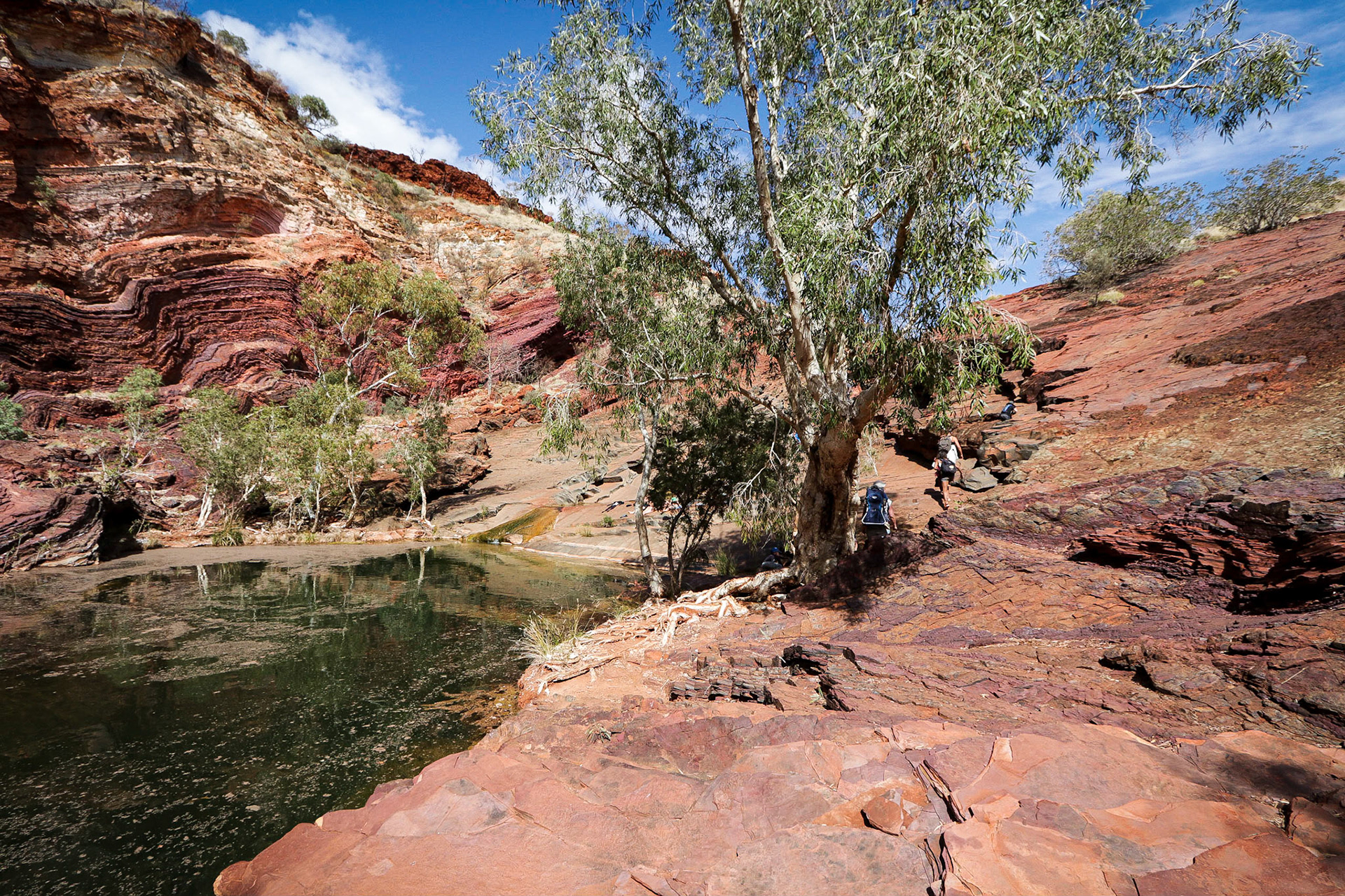 Hamersley Gorge, Karijini NP