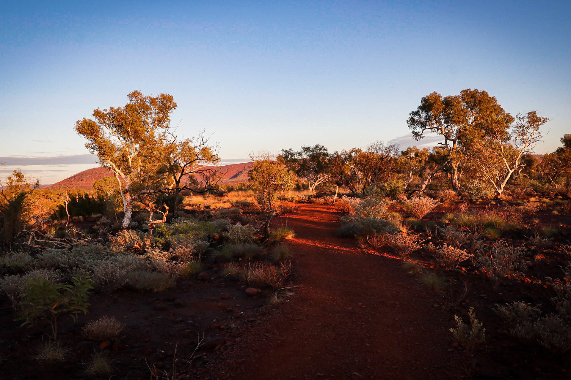 Dales Gorge, Karijini NP