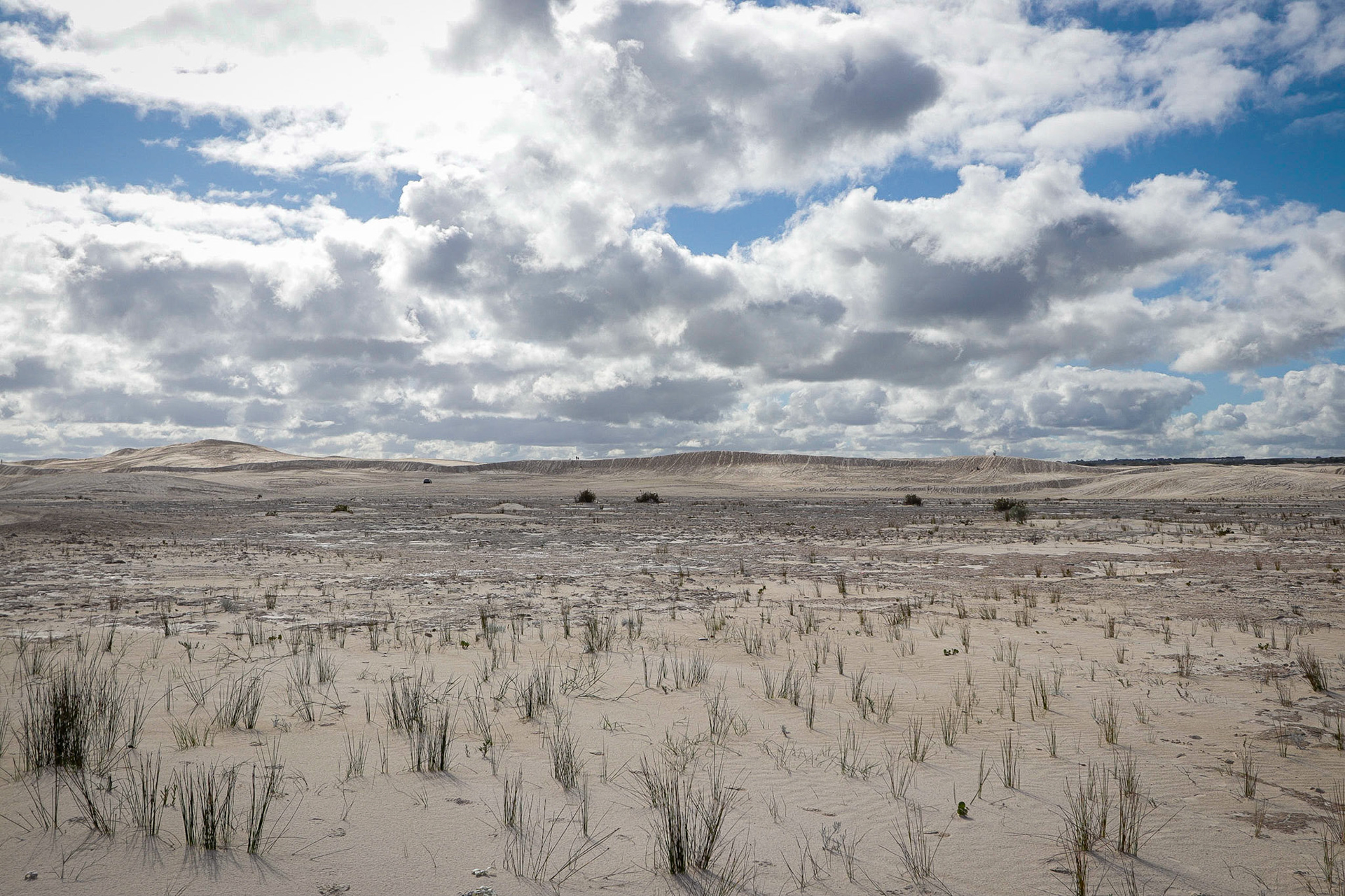 Lancelin Dunes