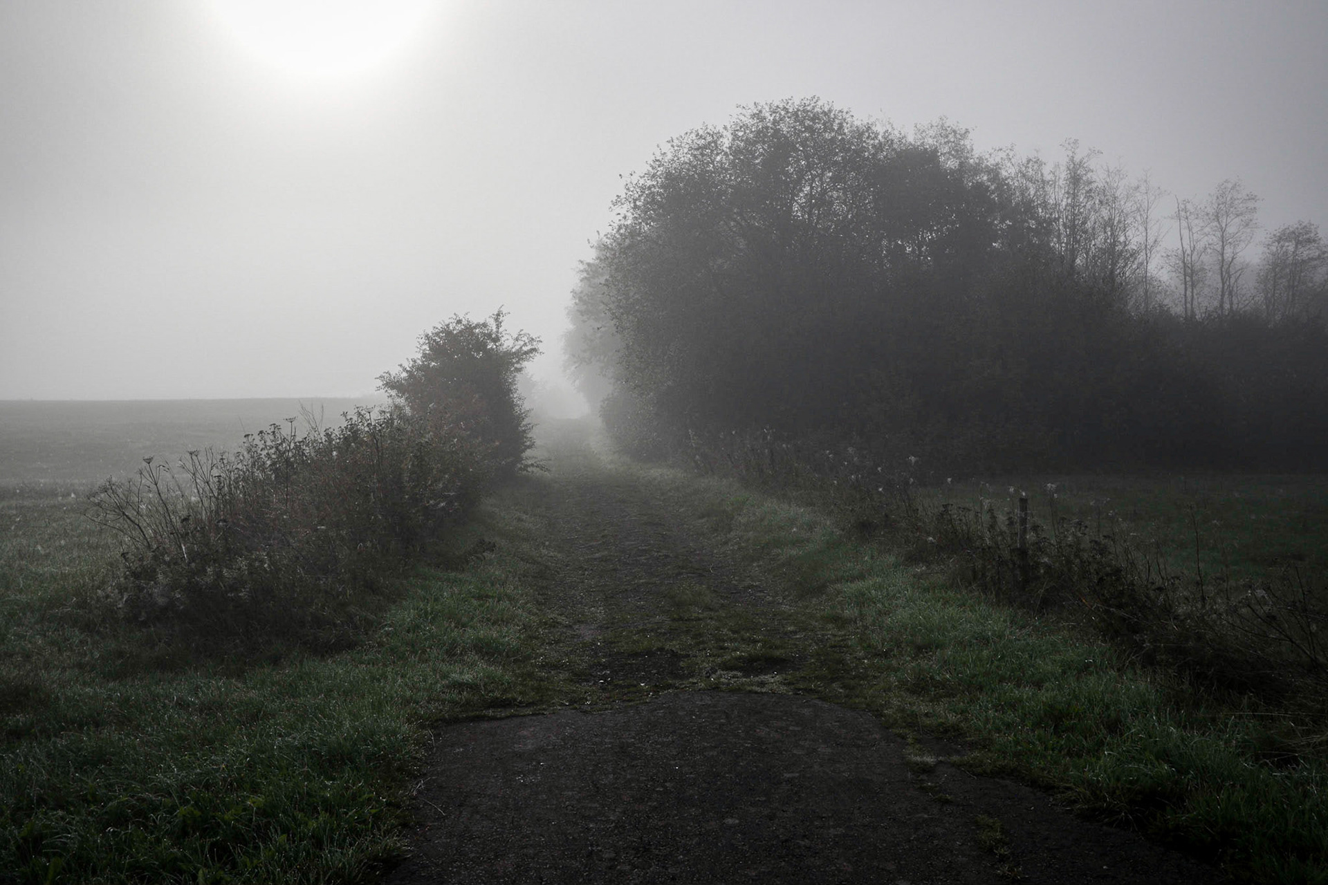 Misty morning near Hillesheim