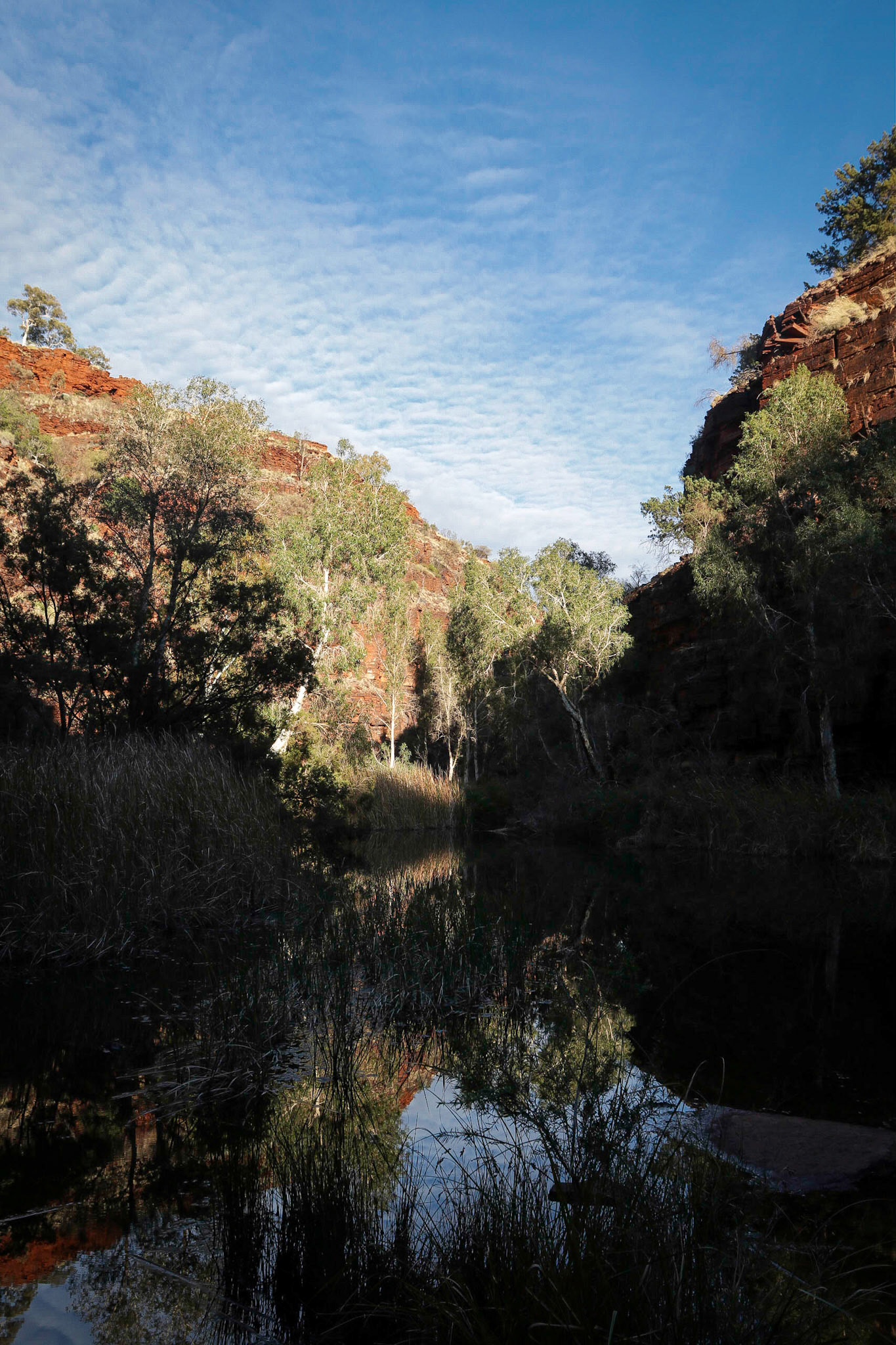 Dales Gorge, Karijini NP