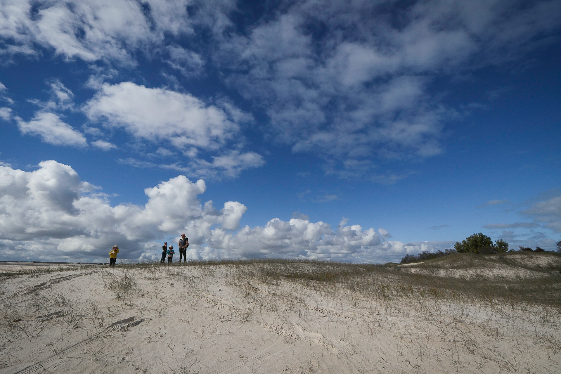 Lancelin Dunes