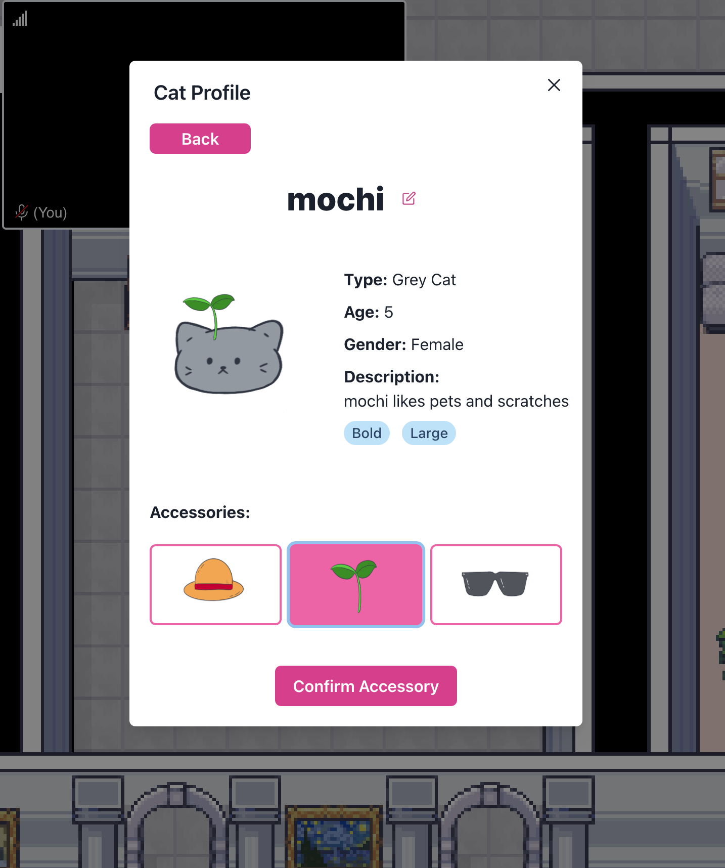 Cat Profile