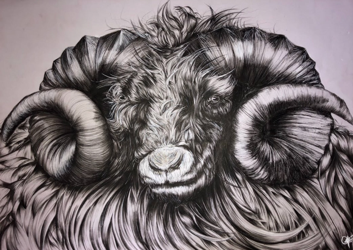 G.O.A.T, ink on cartridge paper, 2018
