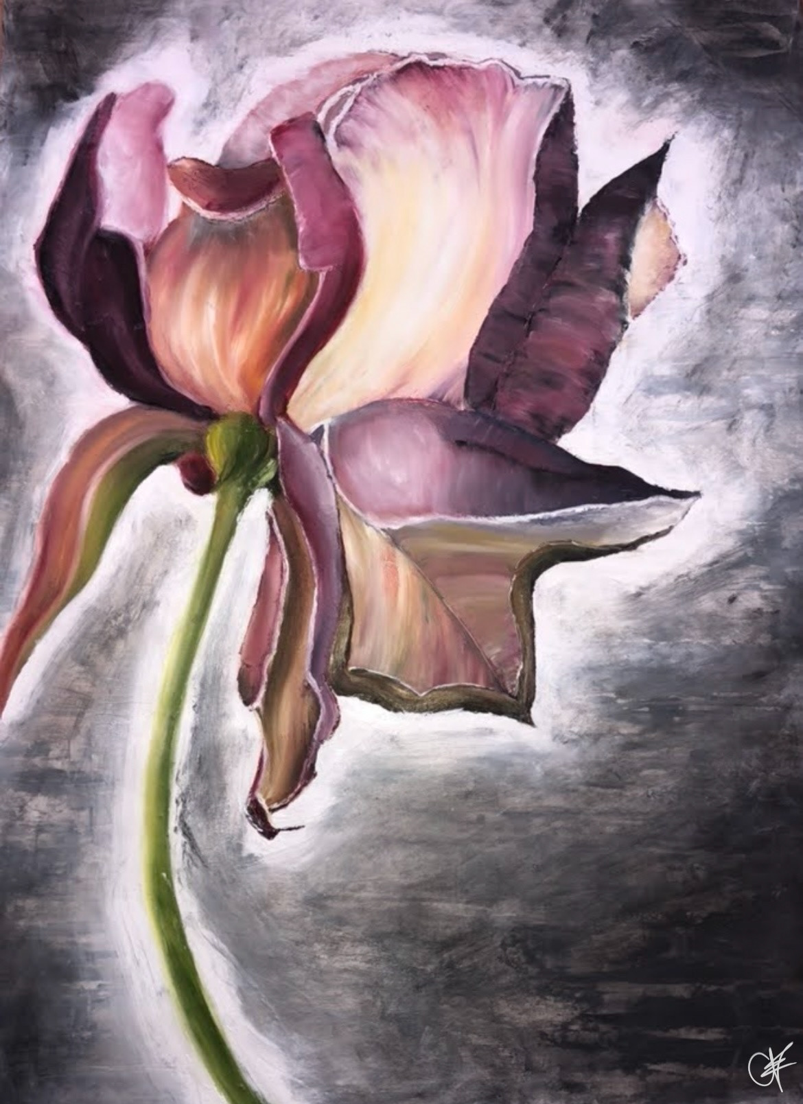 Bloom, oil paint on cartridge paper, 2018