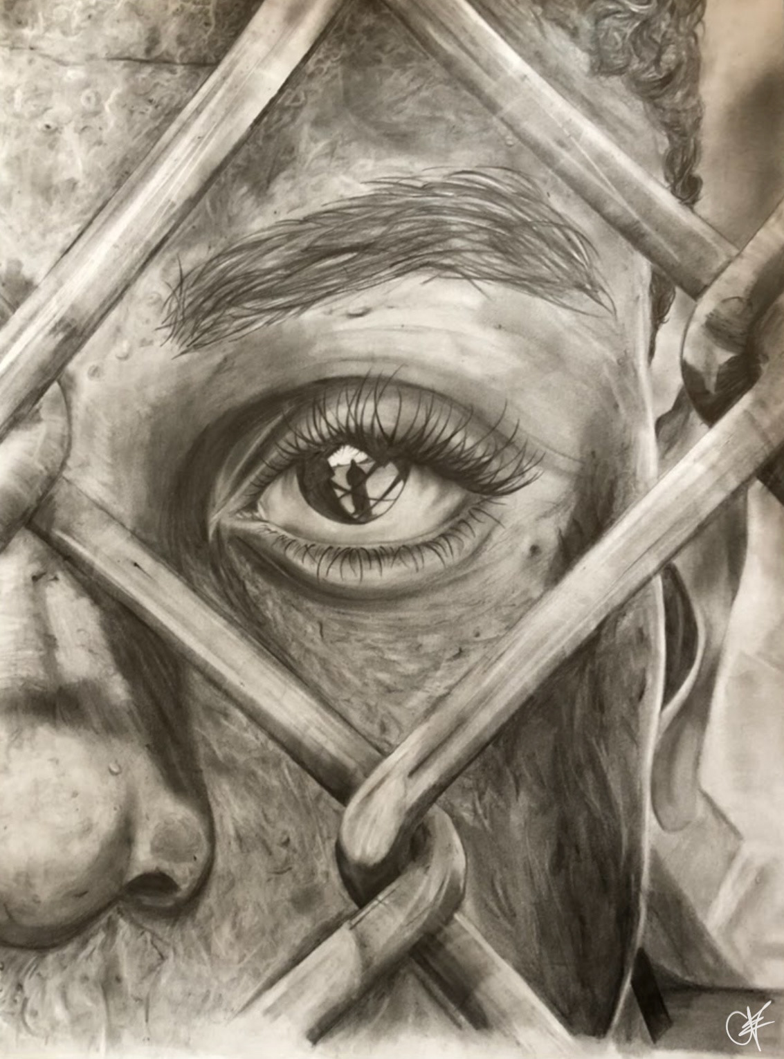 Captive, graphite on cartridge paper, 2018