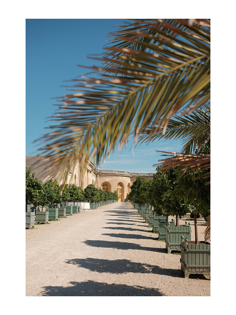 Jardins du Château de Versailles Aug 2022