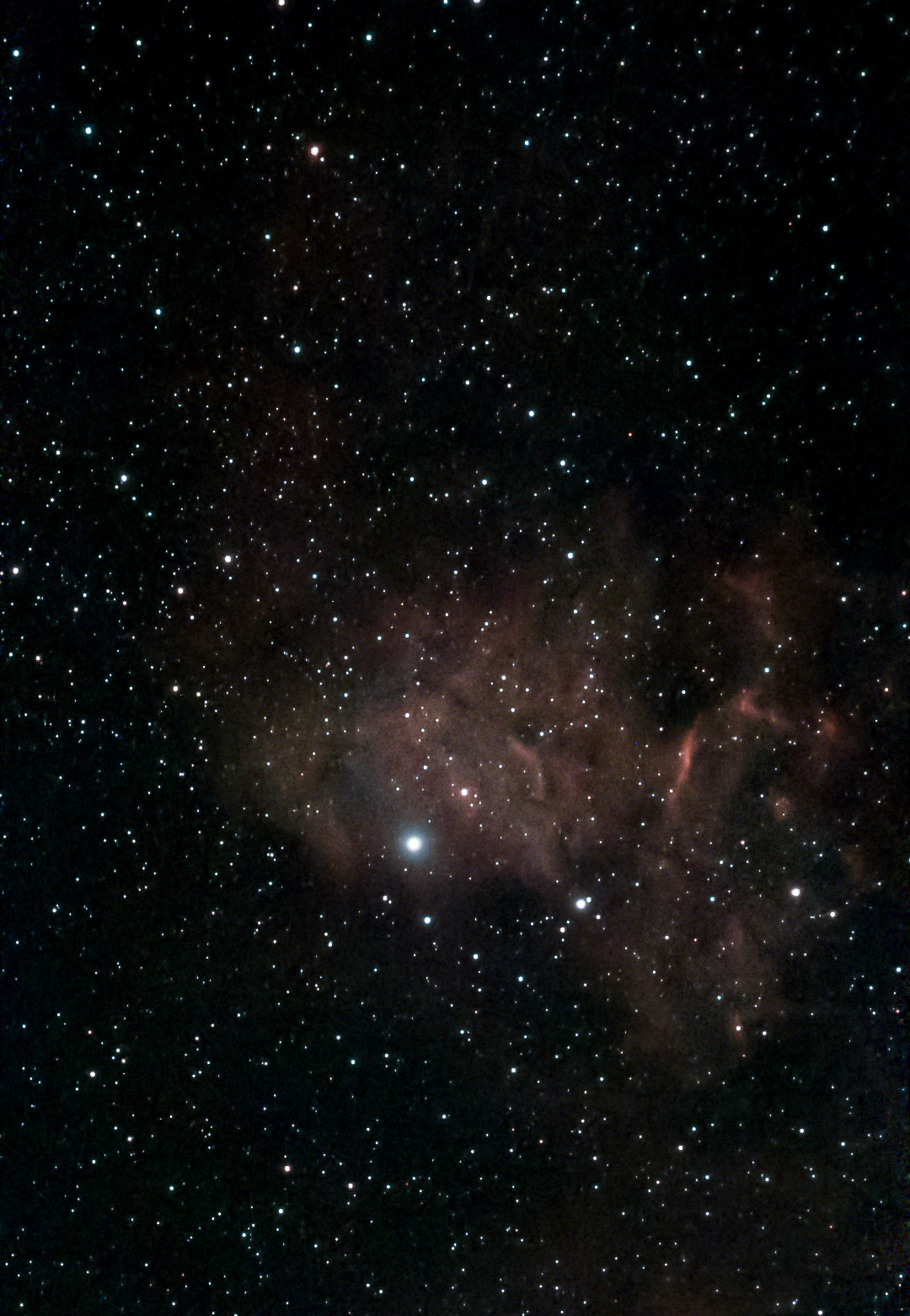 Flaming Star Nebula (IC 405) not bad for a target 1,500 light-years away. 61 minutes of stacked images, Little River SC (Seestar 50) 03.20.2026 