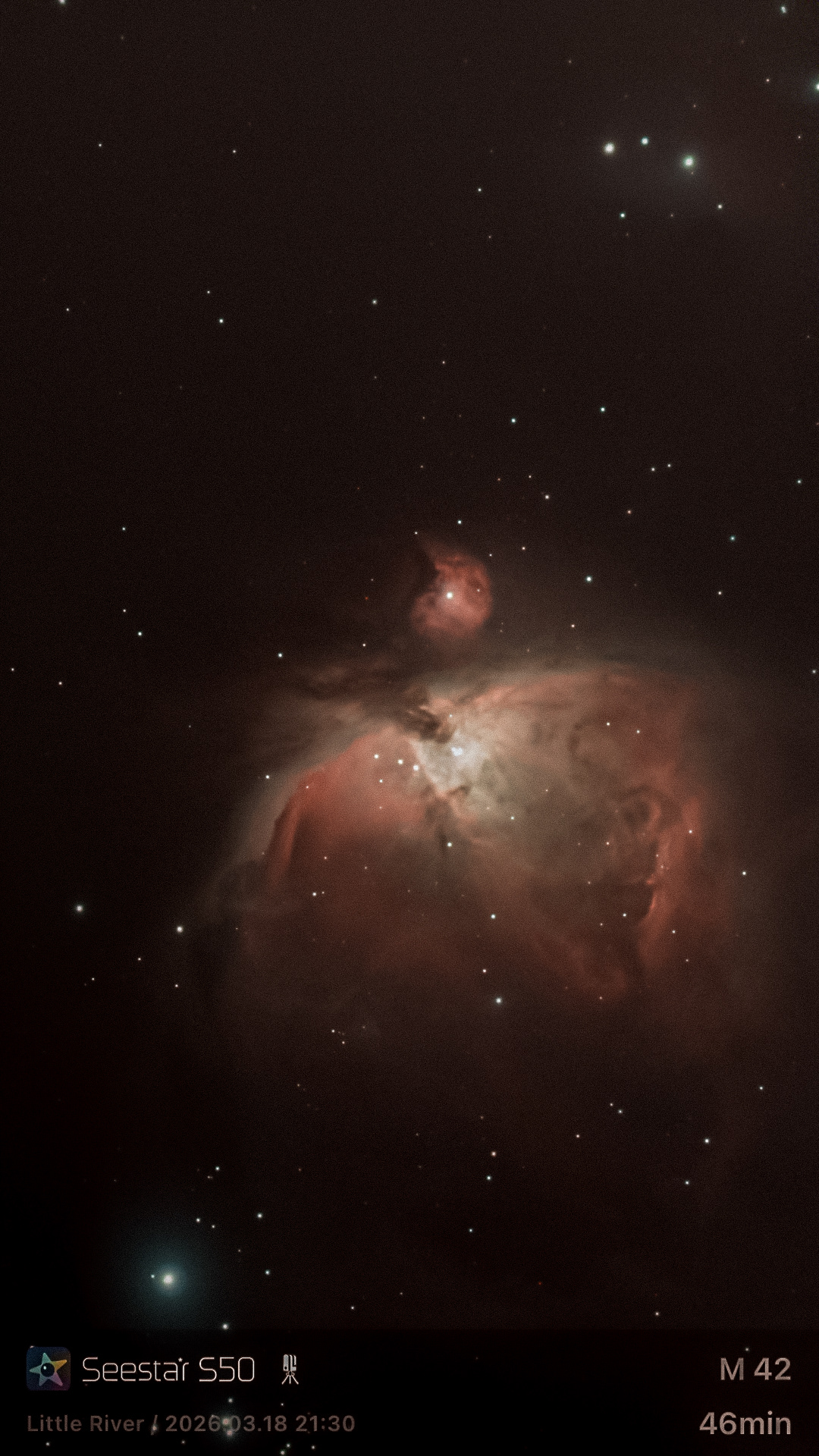 Orion Nebula (M 42), just below the third star of his belt, 46 minutes of stacked images, Little River SC (Seestar 50) 03.18.2026