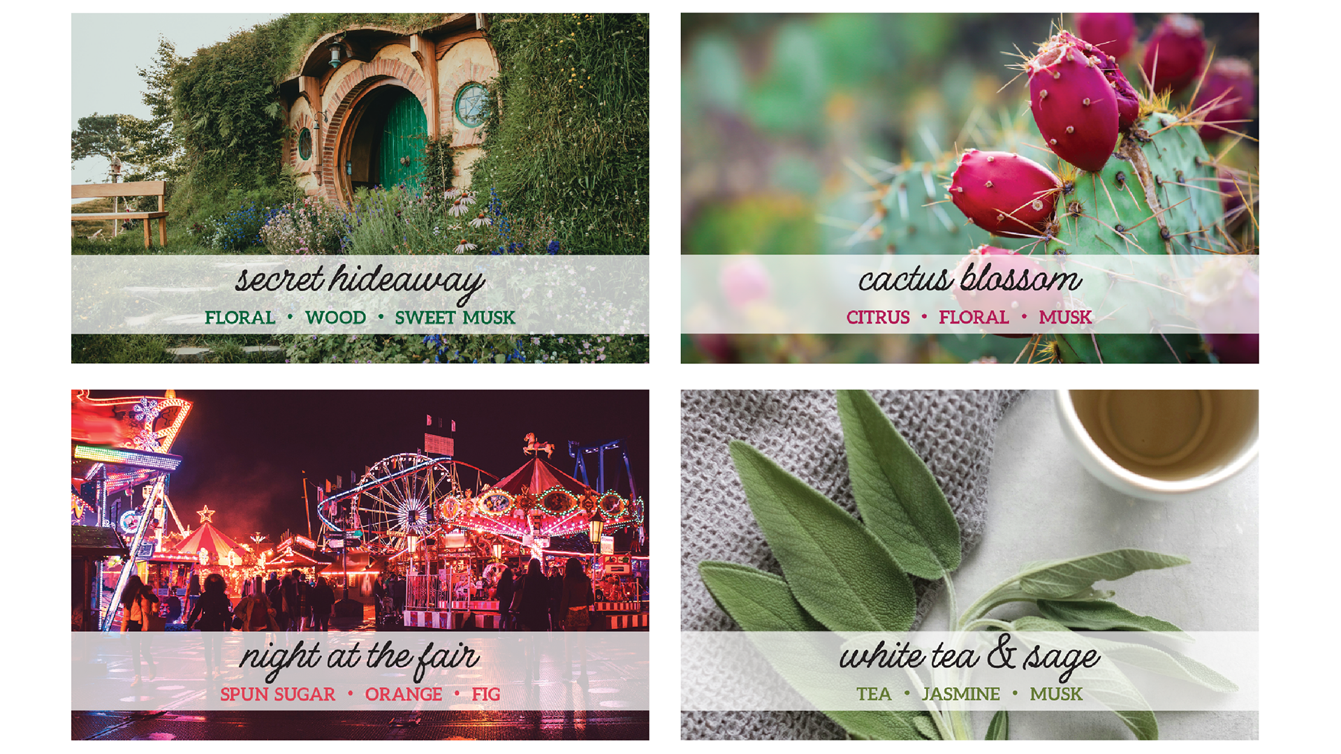 Examples of graphics for Reveal By Fire's website.