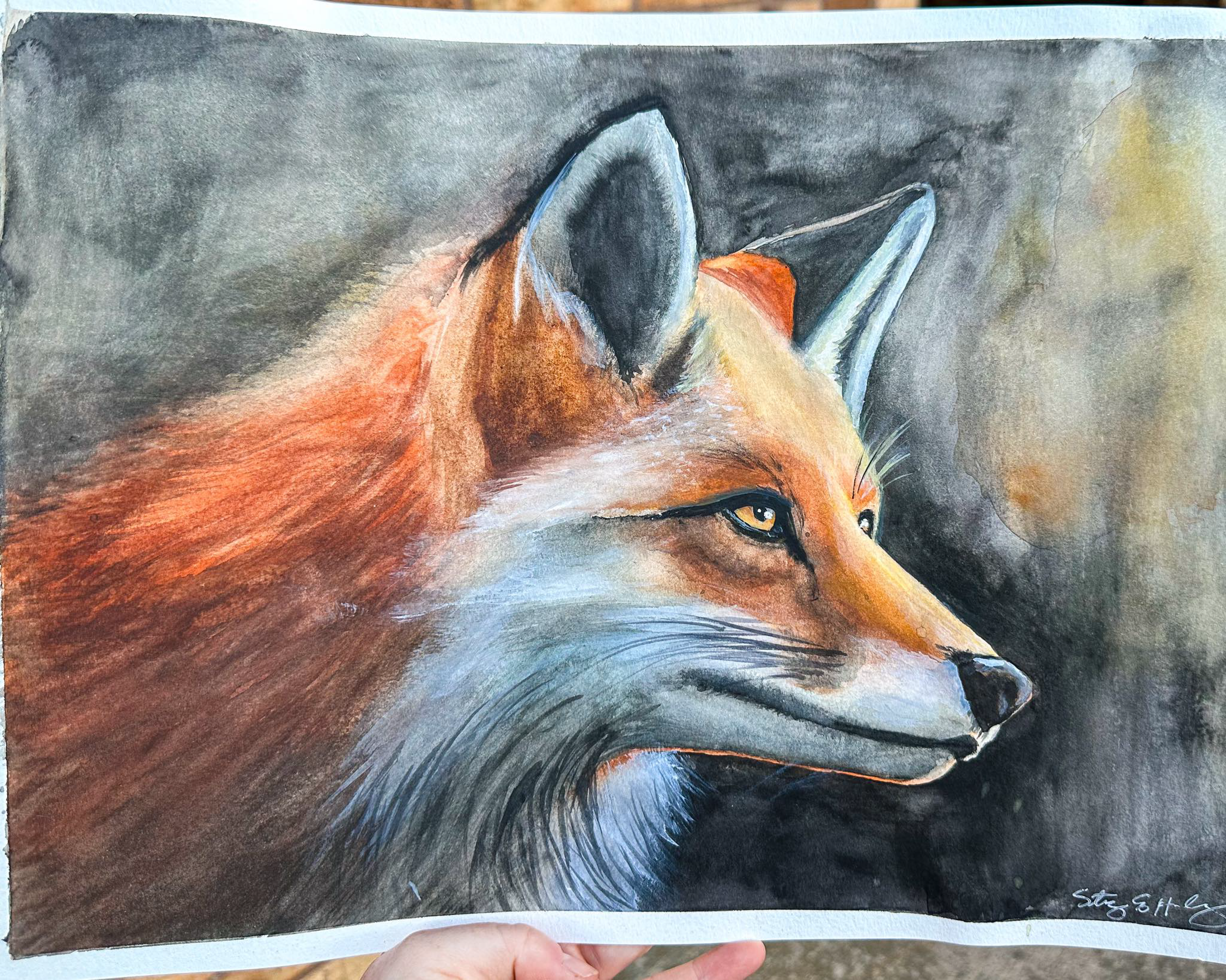Watercolor 2024