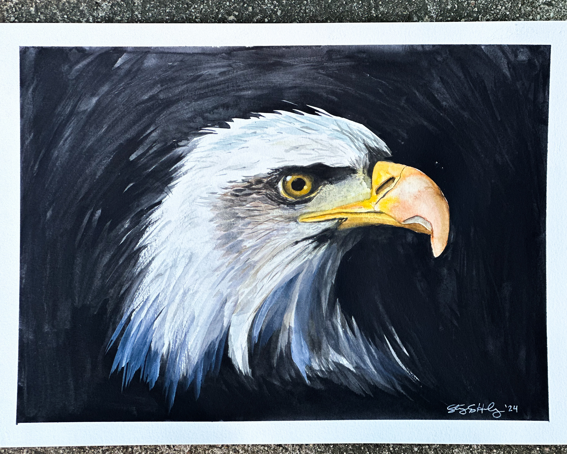 Watercolor 2024