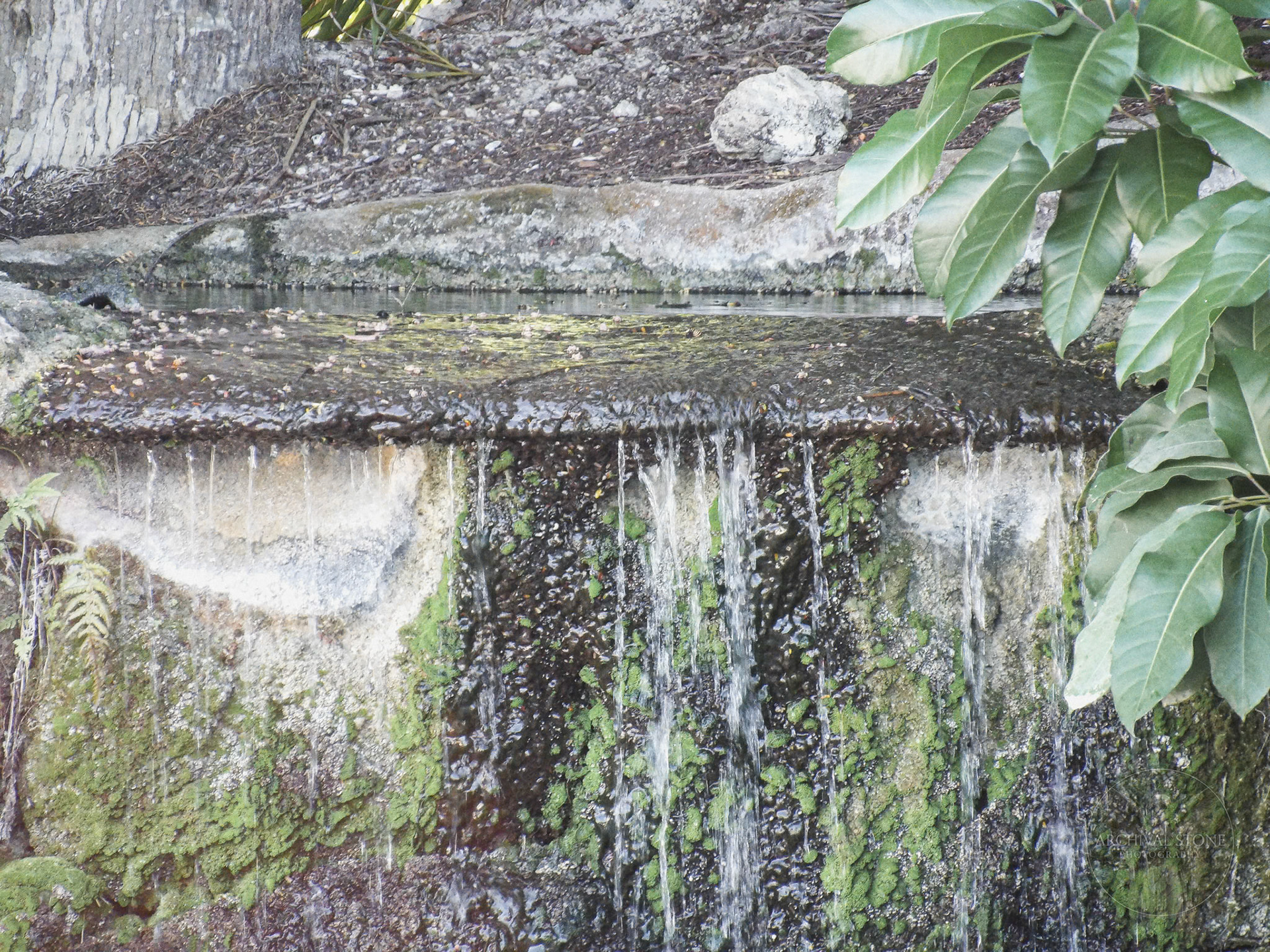 KODAK Digital Still Camera