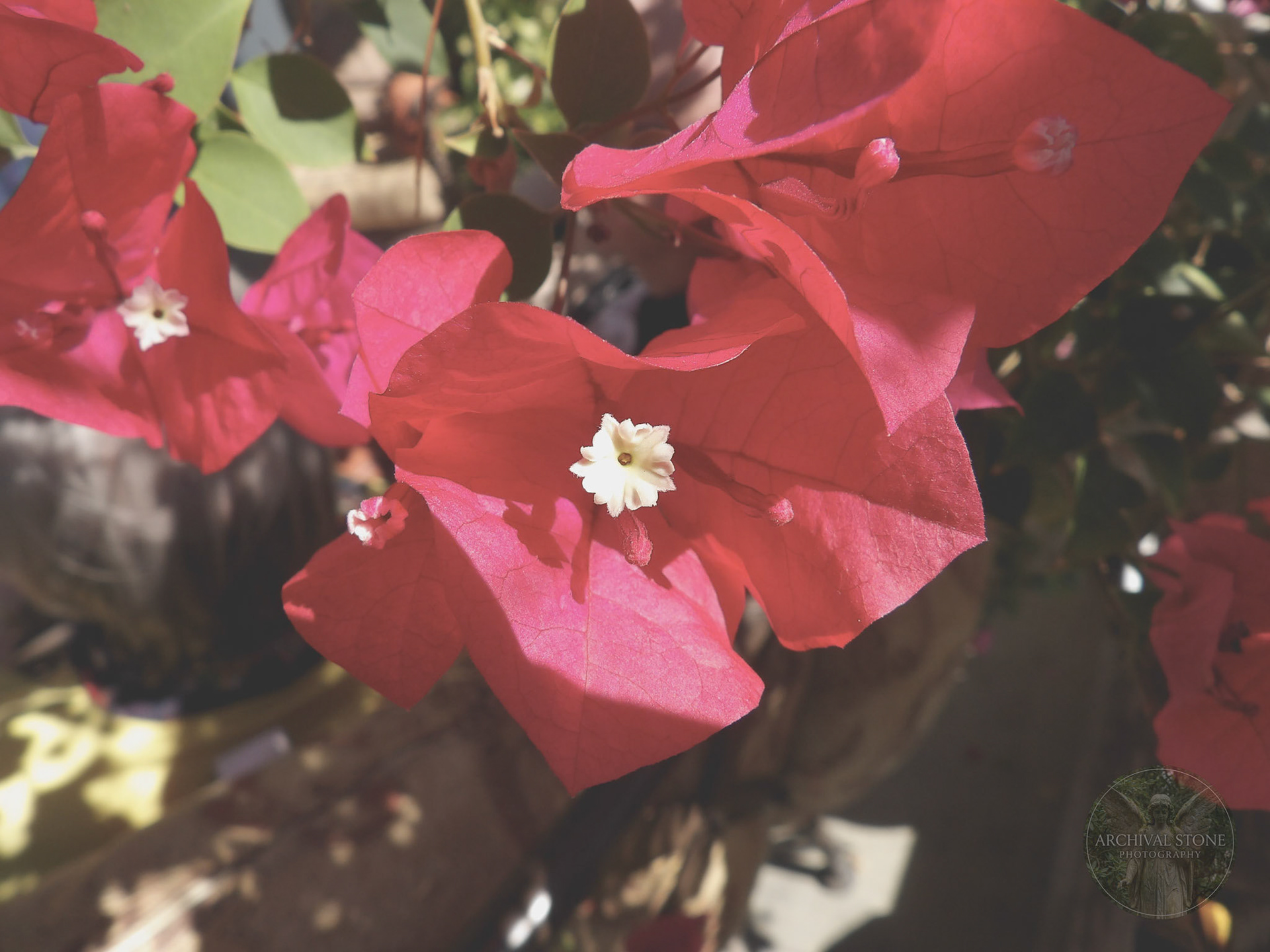 KODAK Digital Still Camera