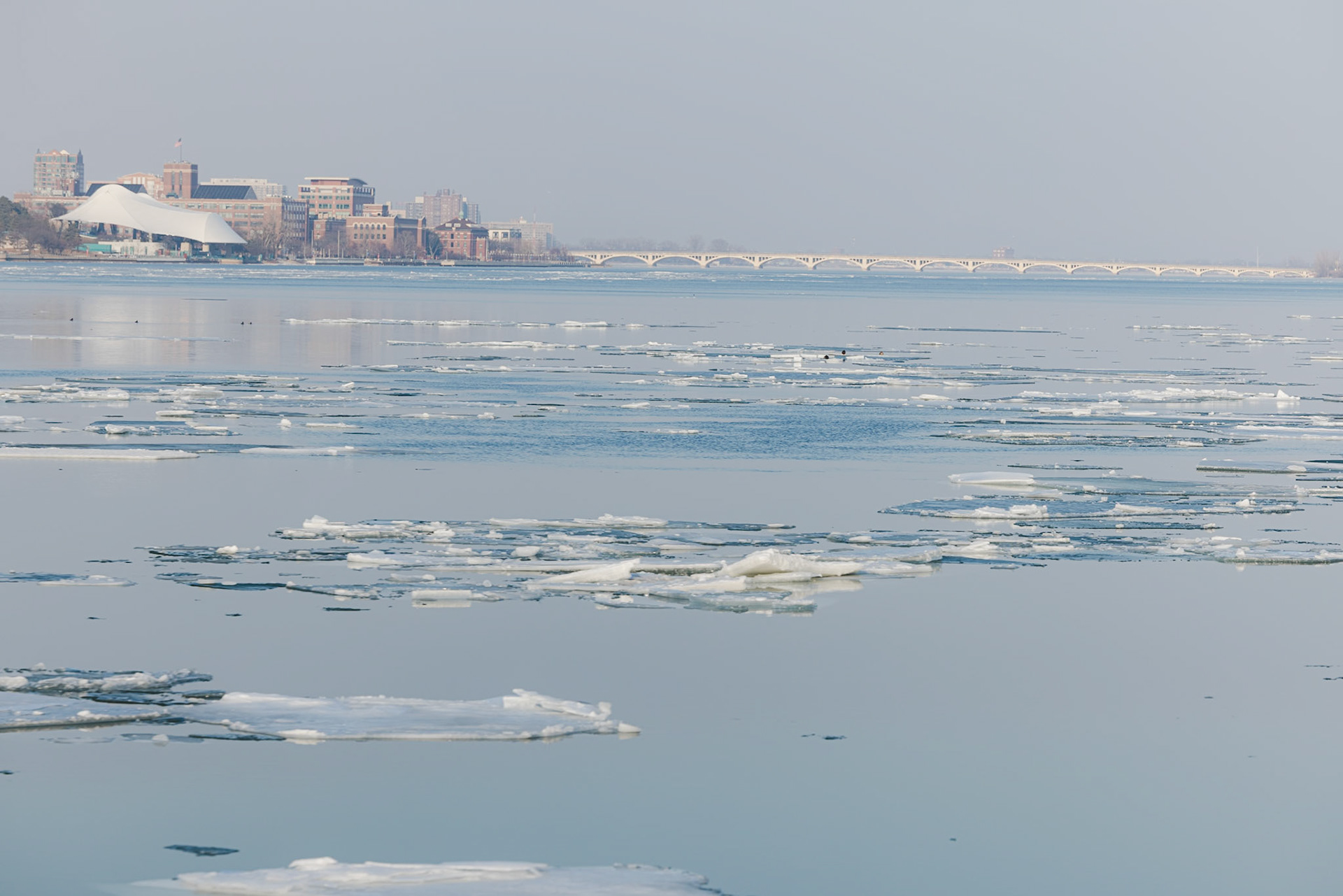 A fiew of the turquoise Detroit River with ice floes from the recent warm weather in February. The Detroit skyline and Bell Isle Bridge are in the background.