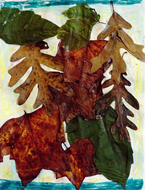 Leaves Of Color