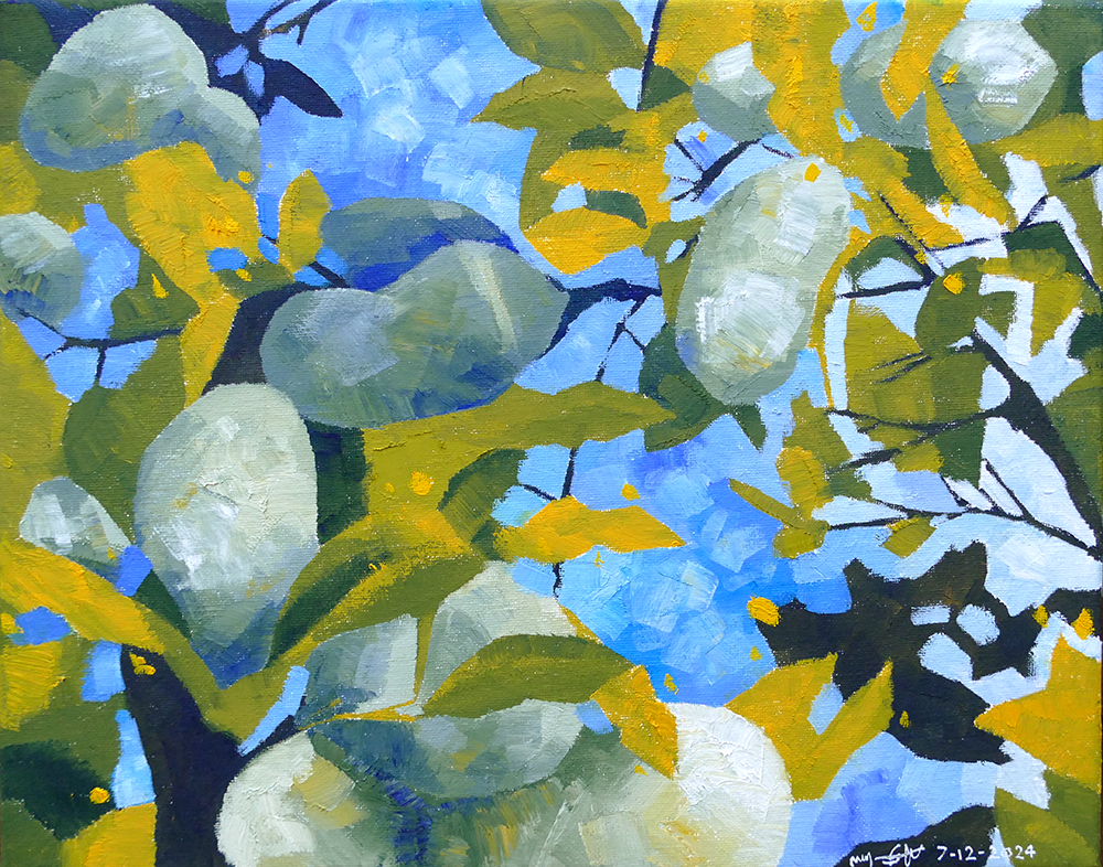 'Looking into a Pawpaw Tree' (2024) 11x14in. Oil on Canvas