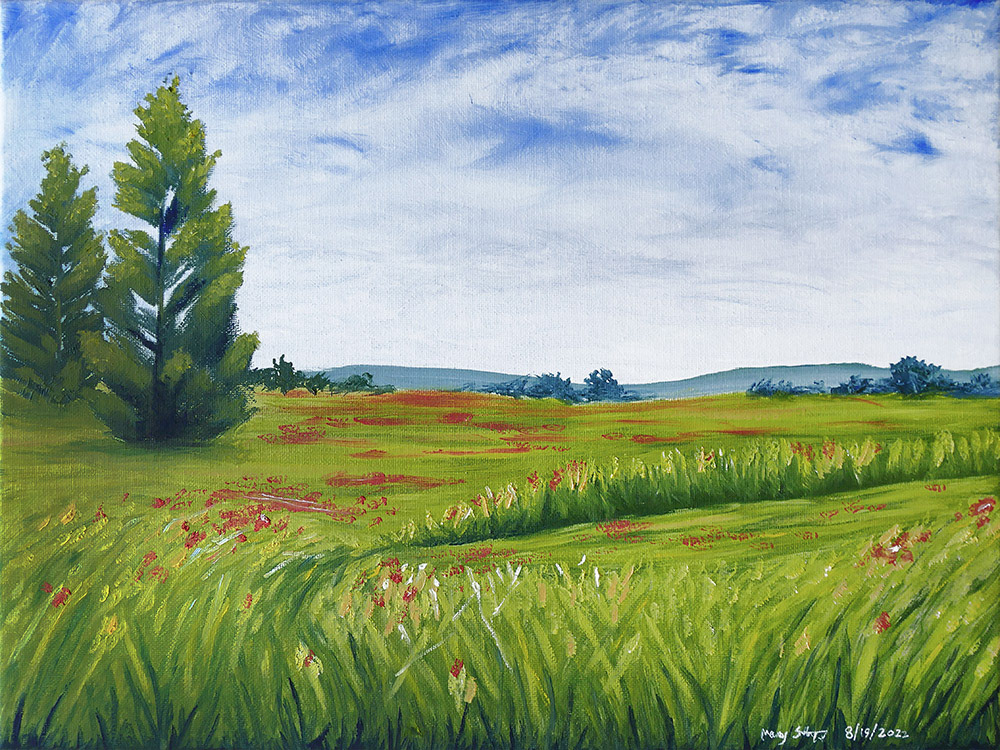 'Meadow' (2022) 12x16in. Oil on Canvas
