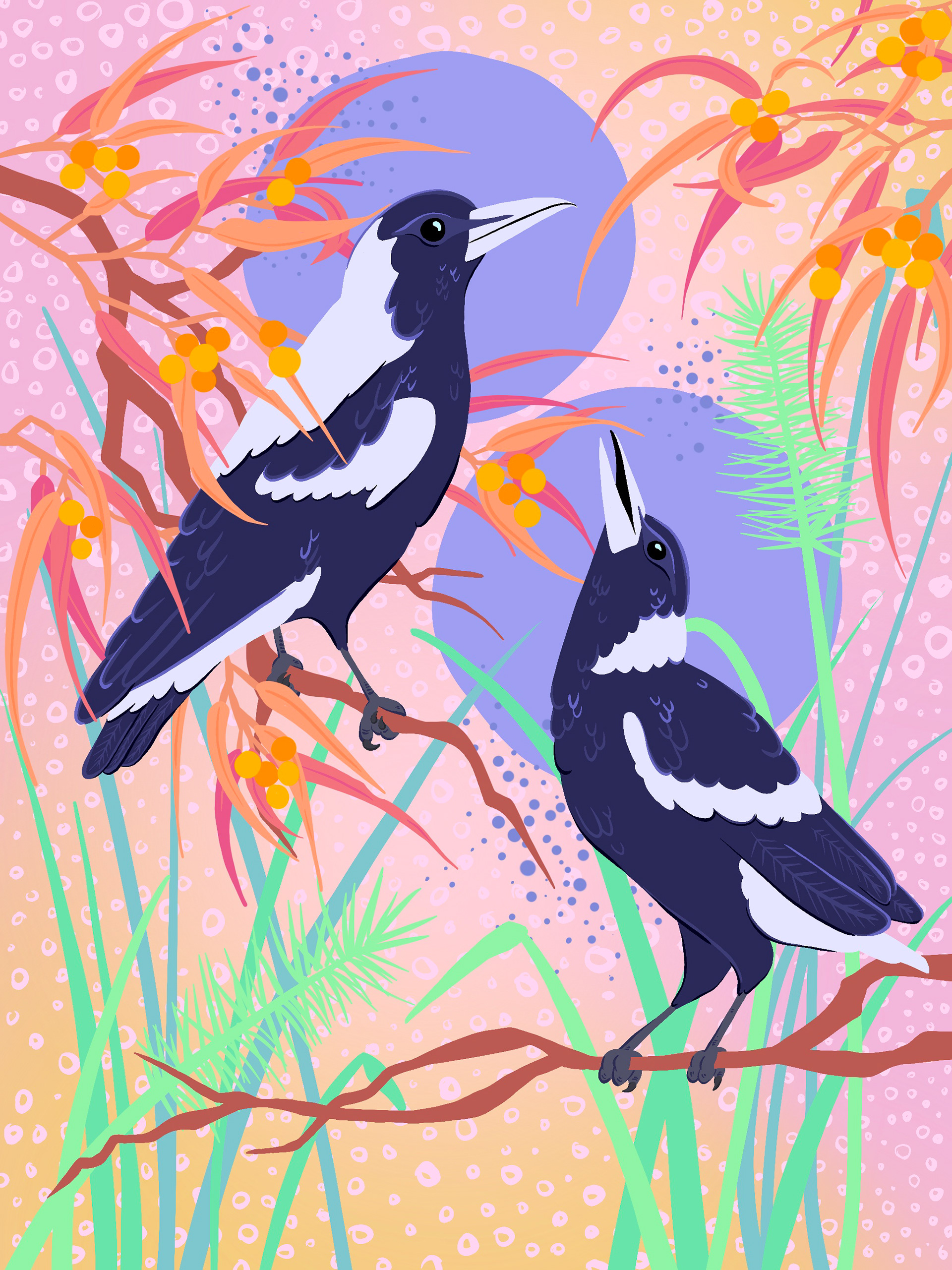 Magpies