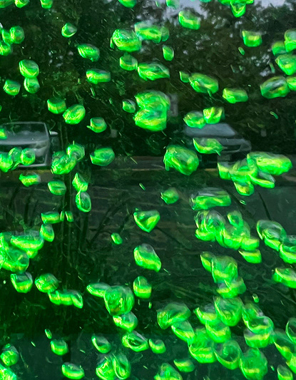 BUBBLES 2, 2022 | Washington