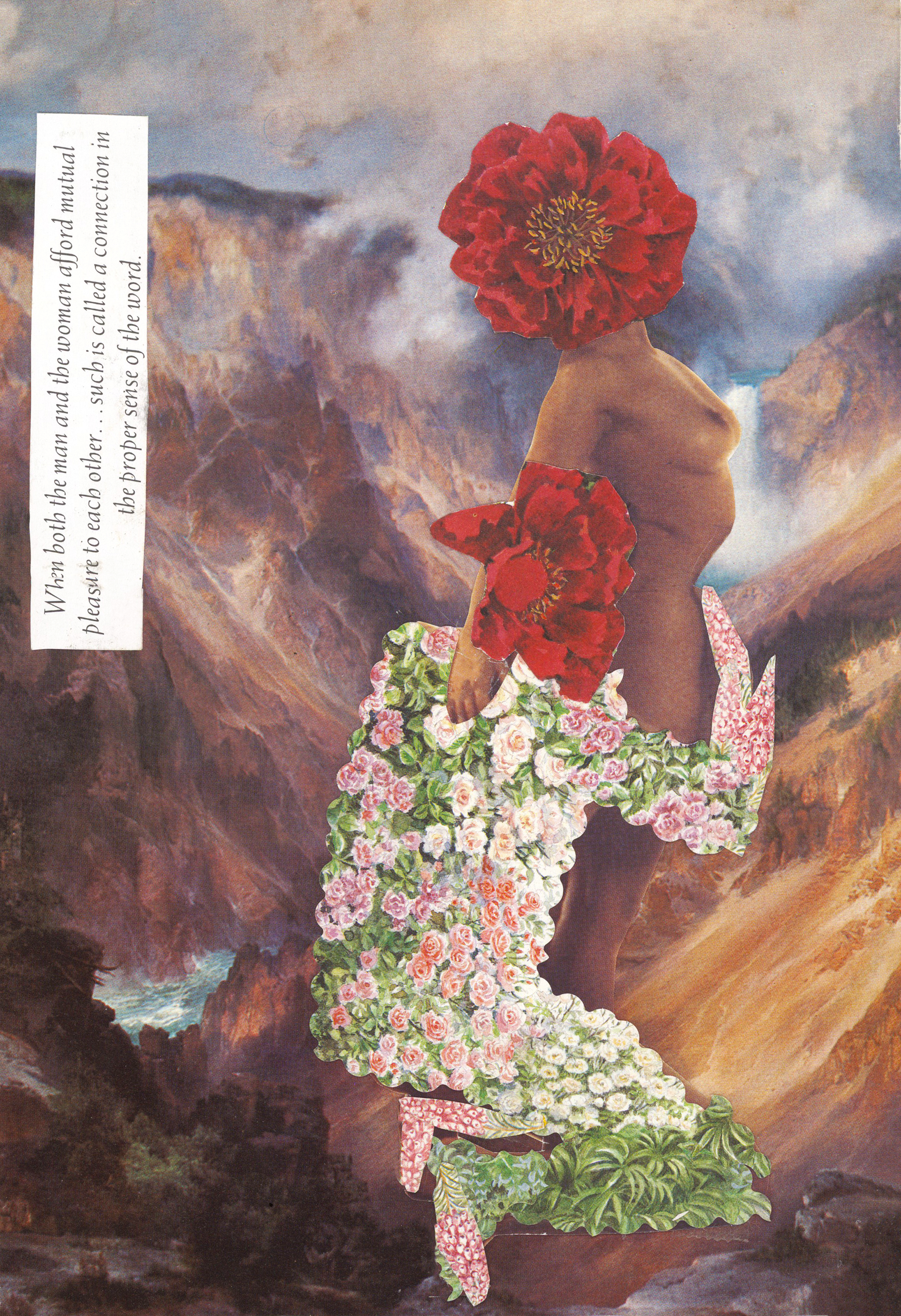 My Flower