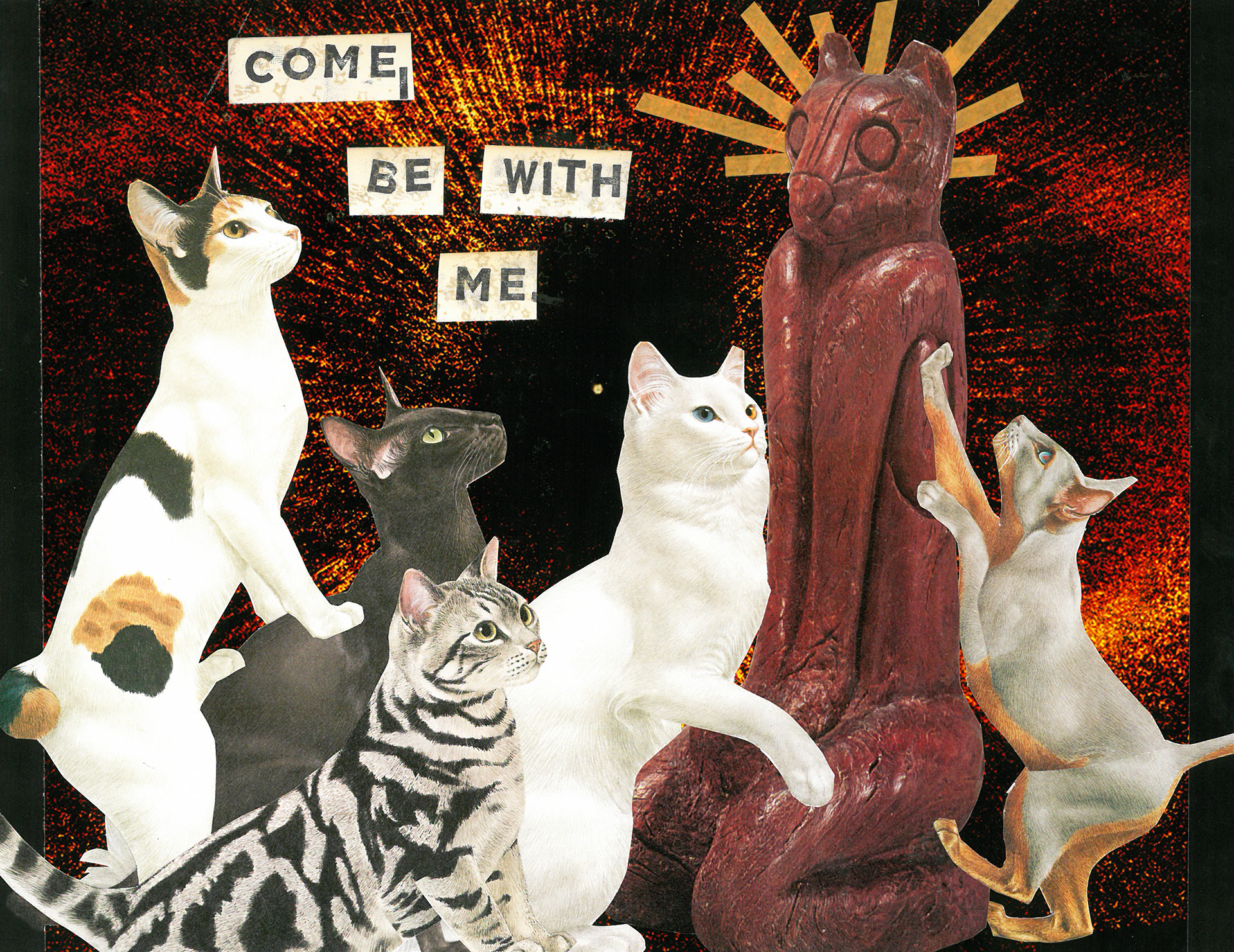 Divine Feline