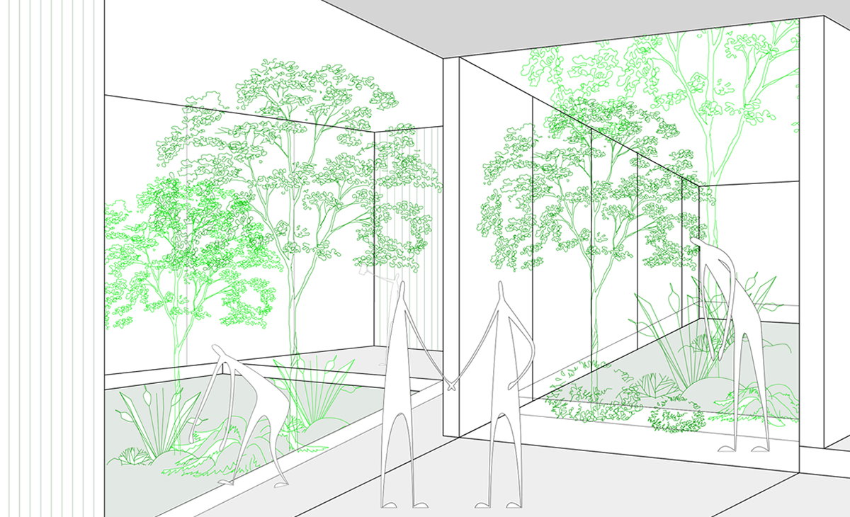 Perspective 11
