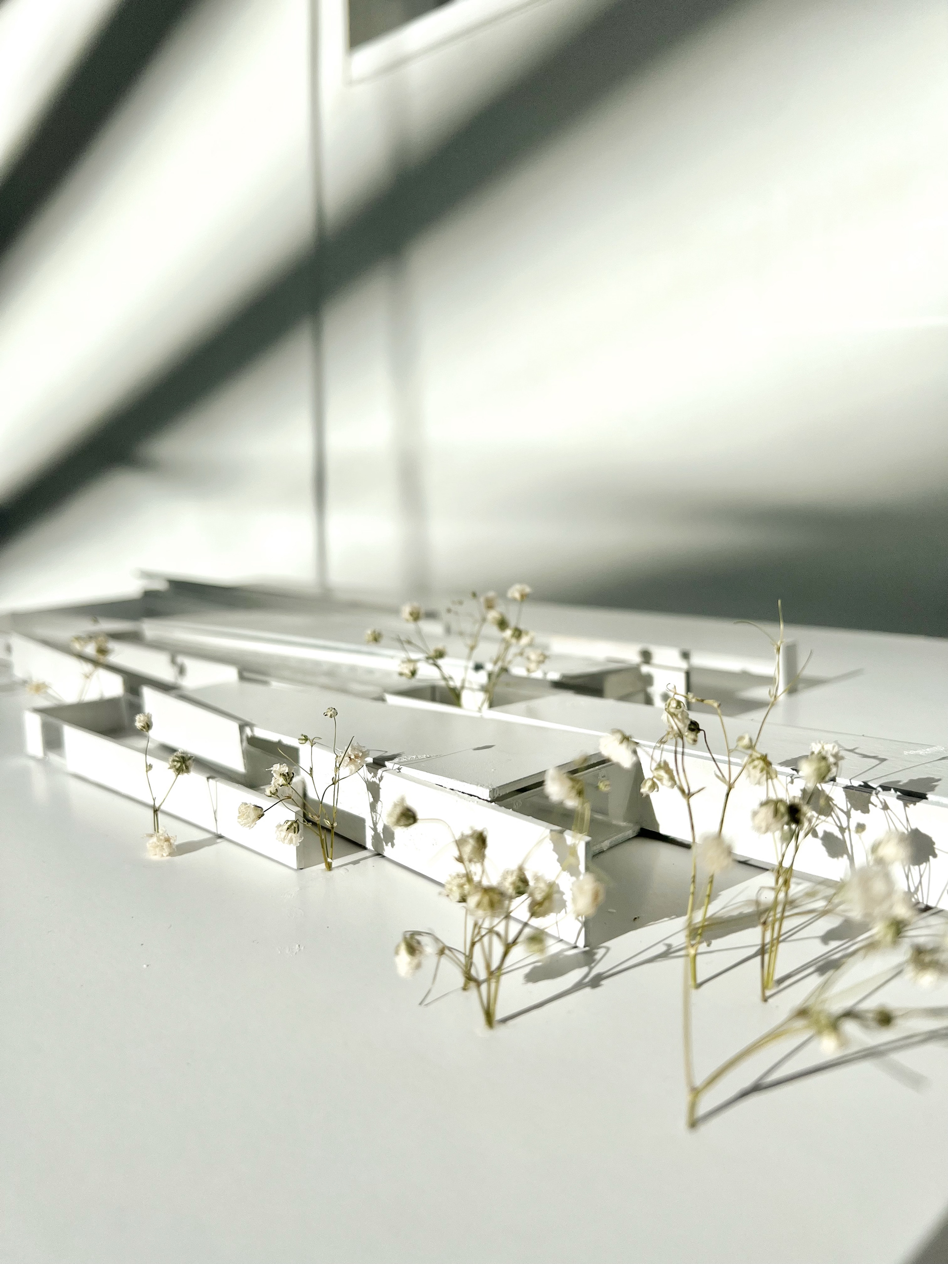Final Model