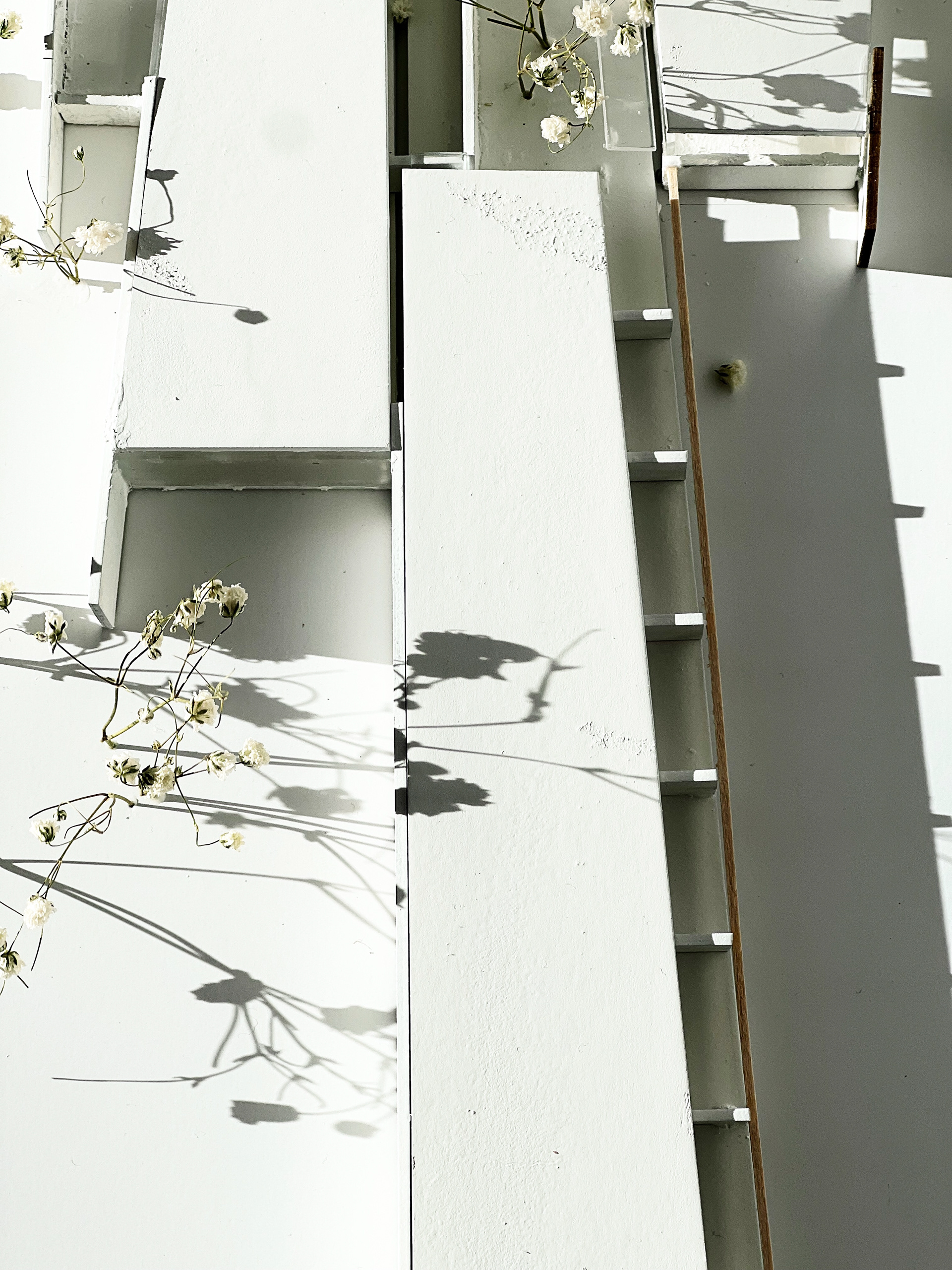 Final Model