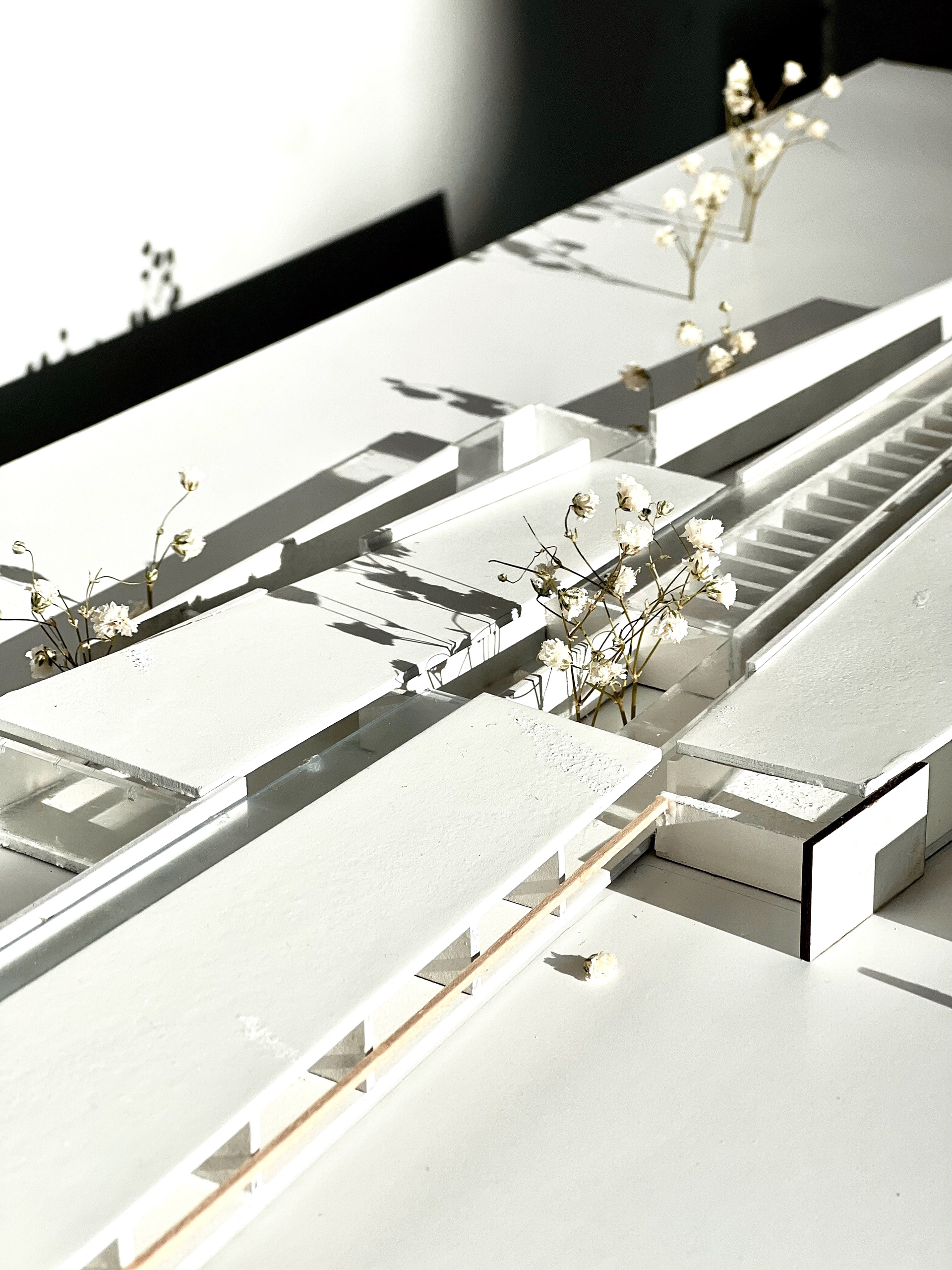Final Model