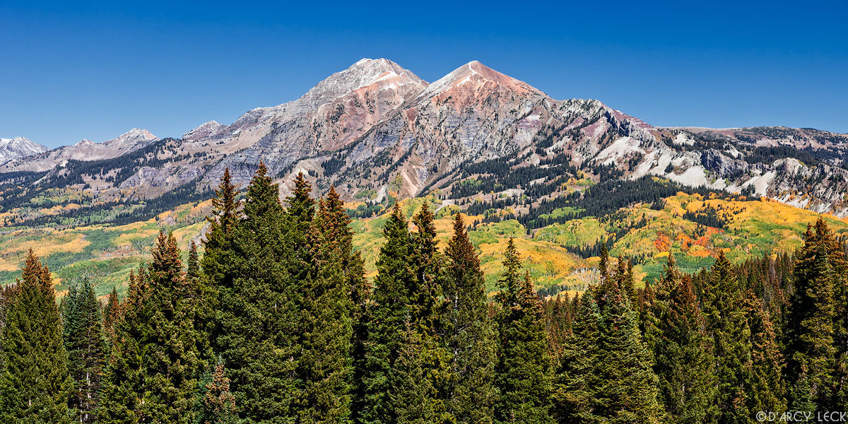 Ruby Peak, Mount Owen, and Purple Peak of the Ruby Range rise above forest of pine trees in the Raggeds Wilderness, Colorado
