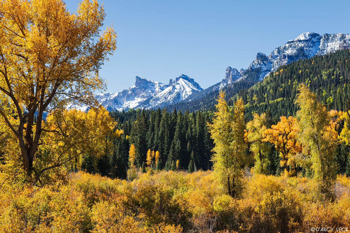 Forest meadow in early Autumn near the confluence of the East Fork and Middle Fork of the Cimarron River, Colorado