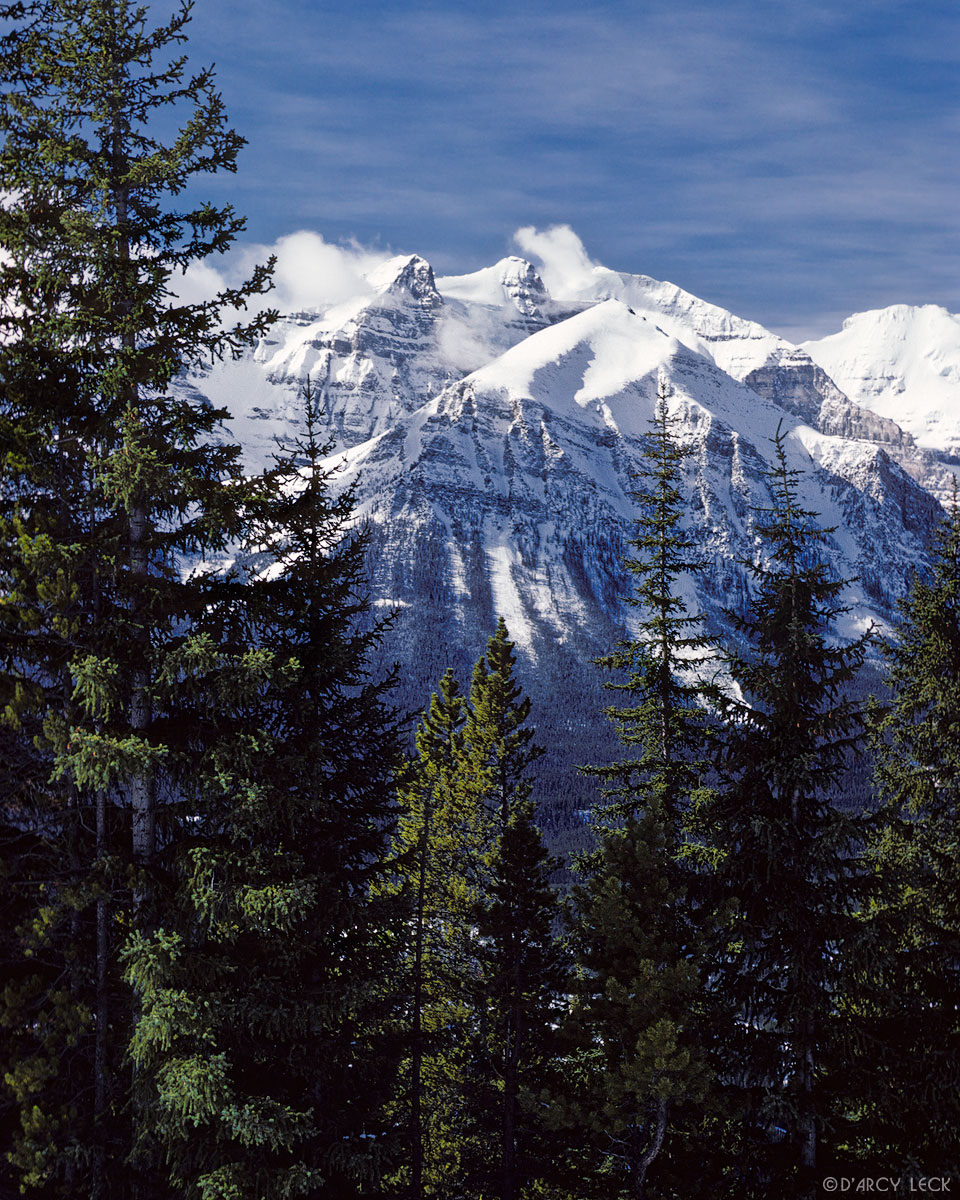 Mount Fairview and Mount Victoria and trees in winter, Banff National Park, Alberta, Canada