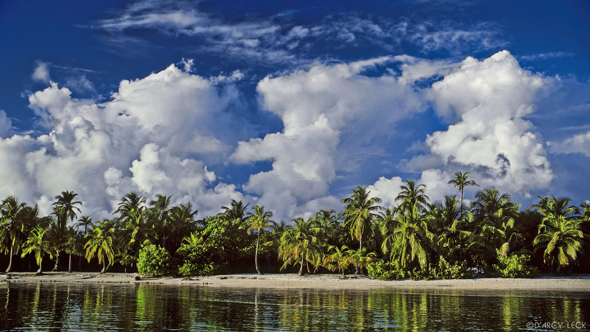 Cumulous clouds rise above jungle of palm trees lining beach on south shore of Roatan, Honduras