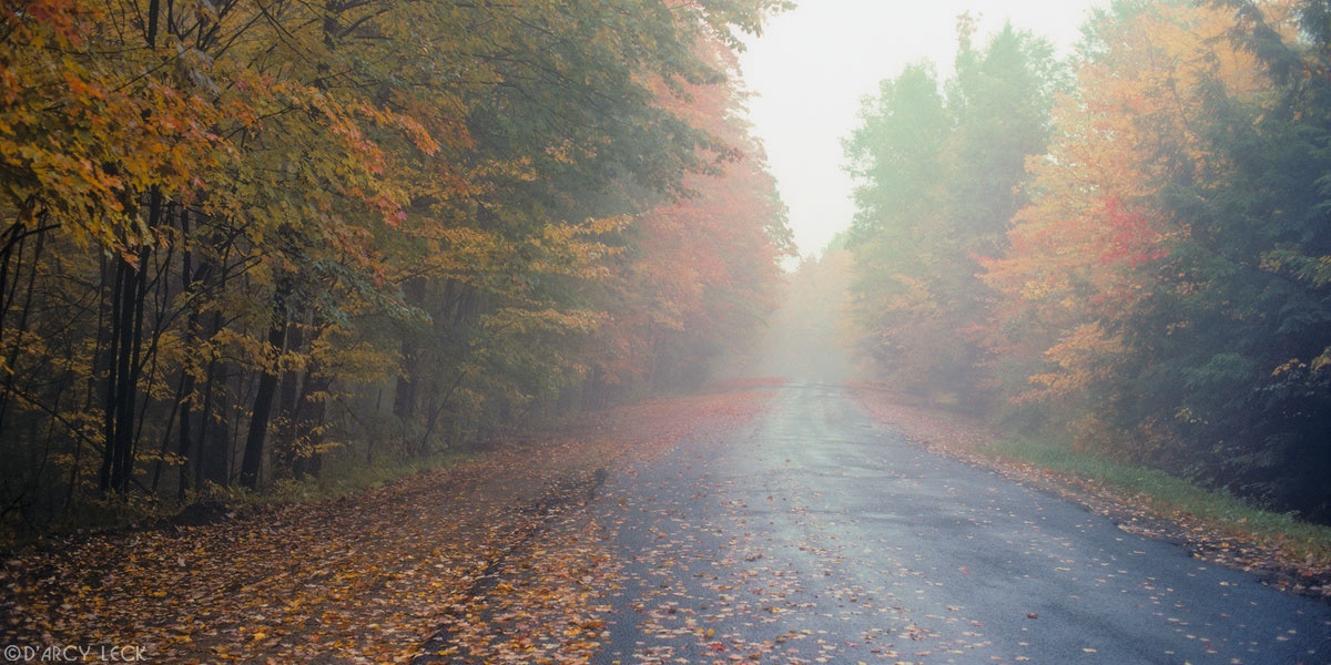 Mist and fog enshrouds forest and road in autumn, Adirondack Park, New York