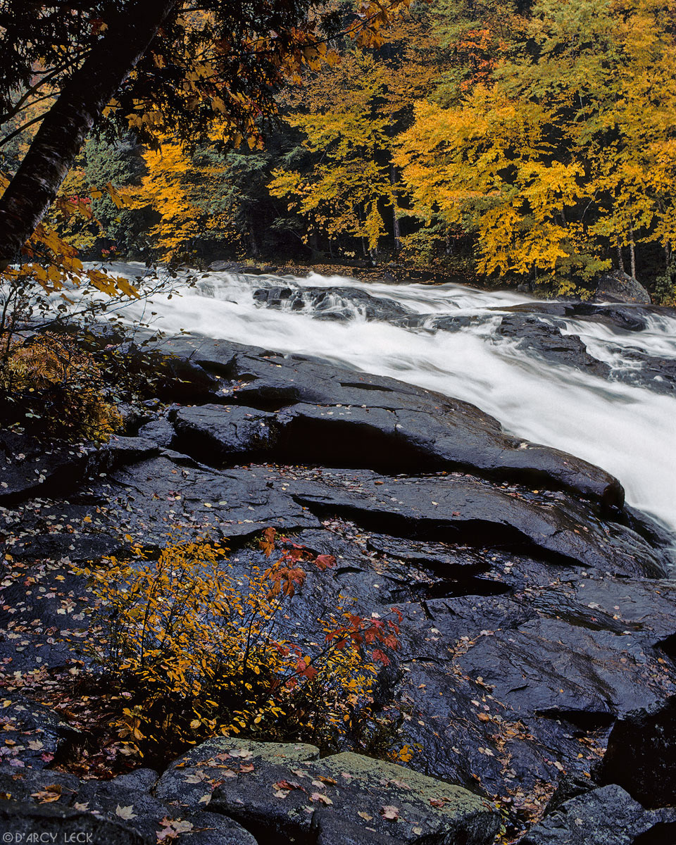 Water of the Raquette River cascades over rocks through forest turning autumn colors near Buttermilk Falls, Adirondack Park, New York